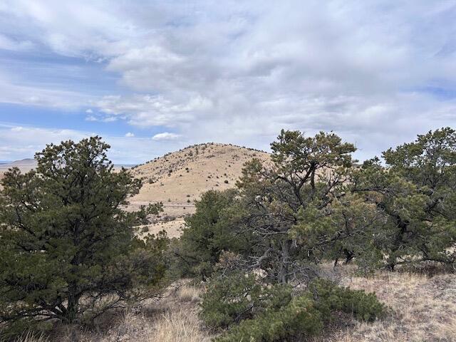 Lot 5 Mountain Ranch