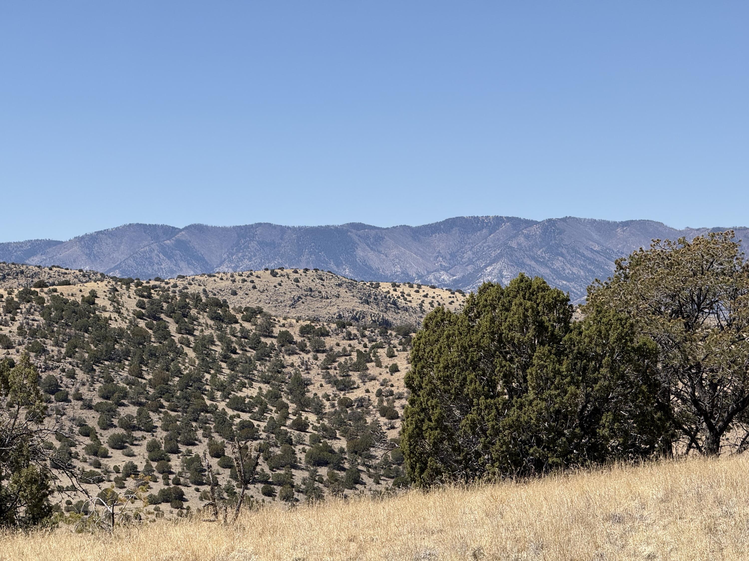 Lot 5 Mountain Ranch