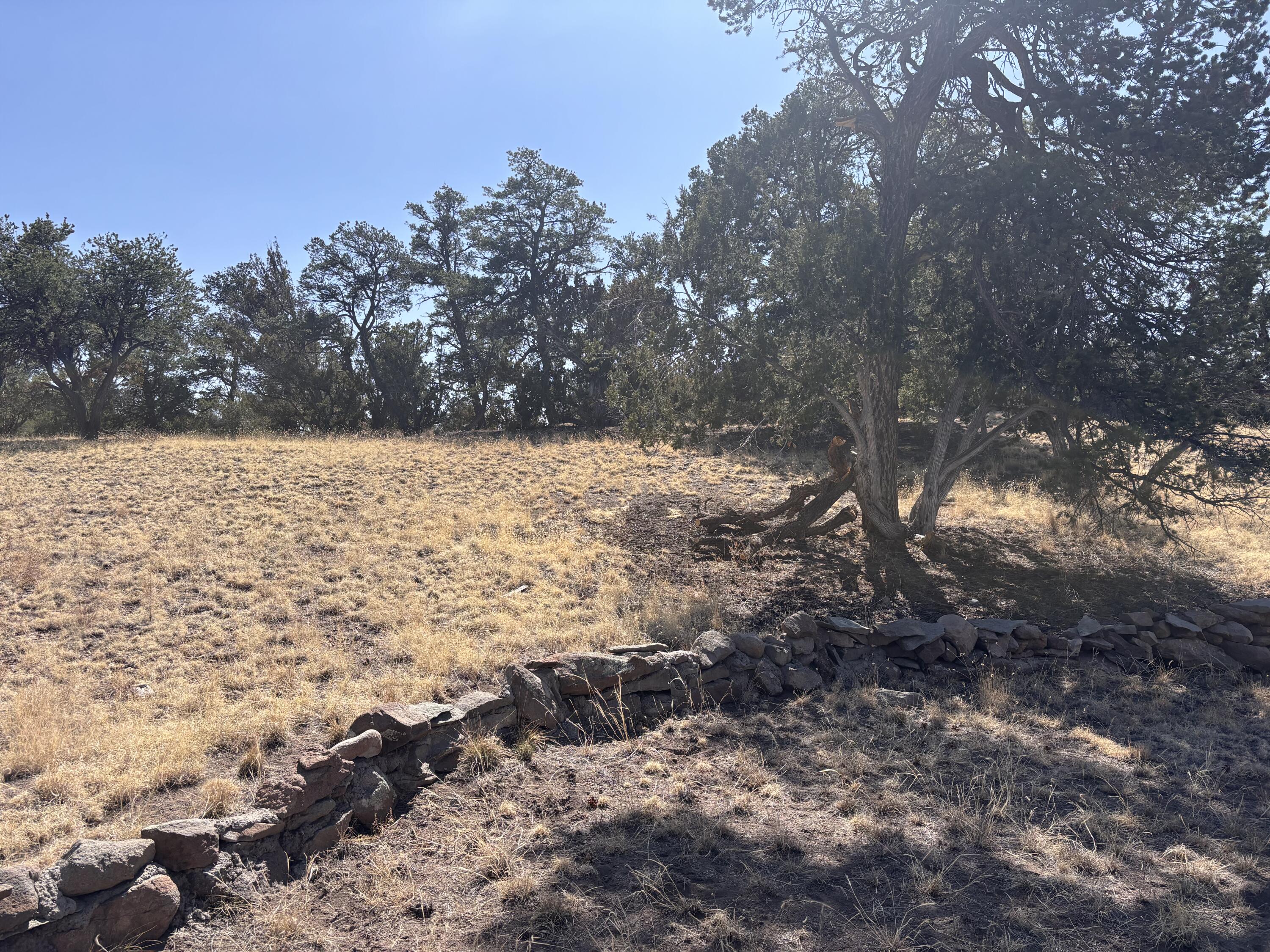 233 Turquoise Trail