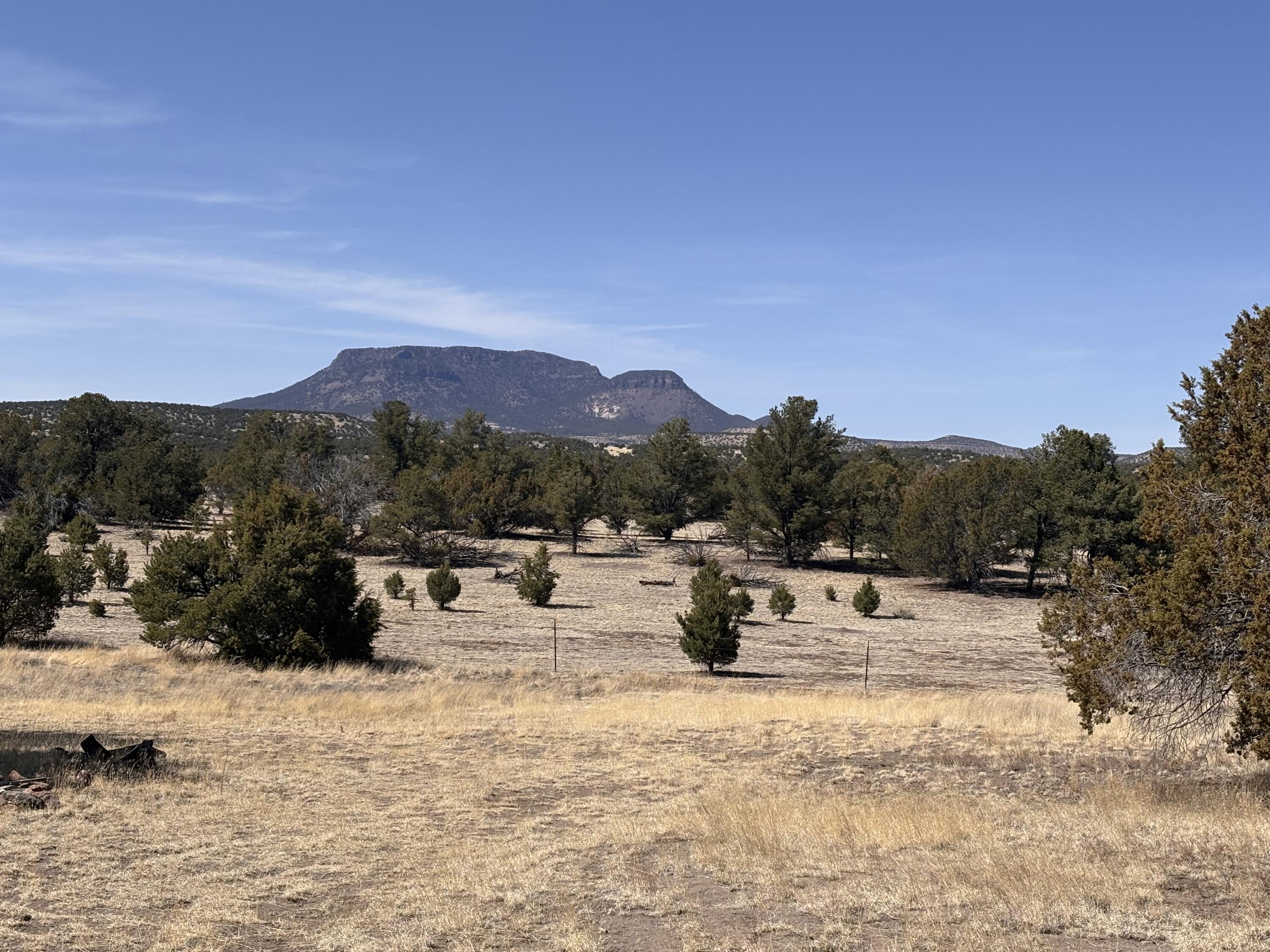 233 Turquoise Trail