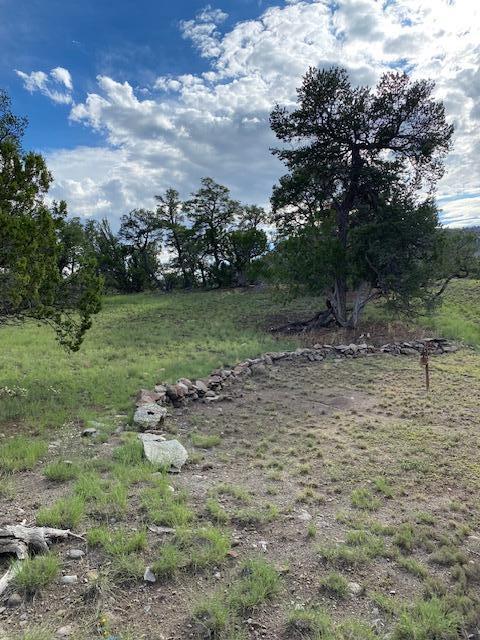 233 Turquoise Trail