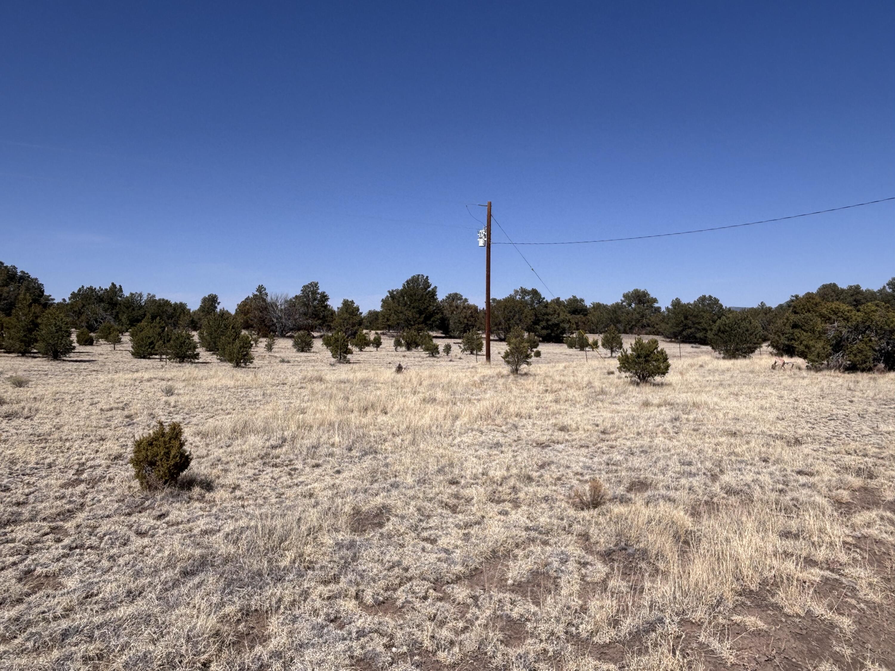 233 Turquoise Trail