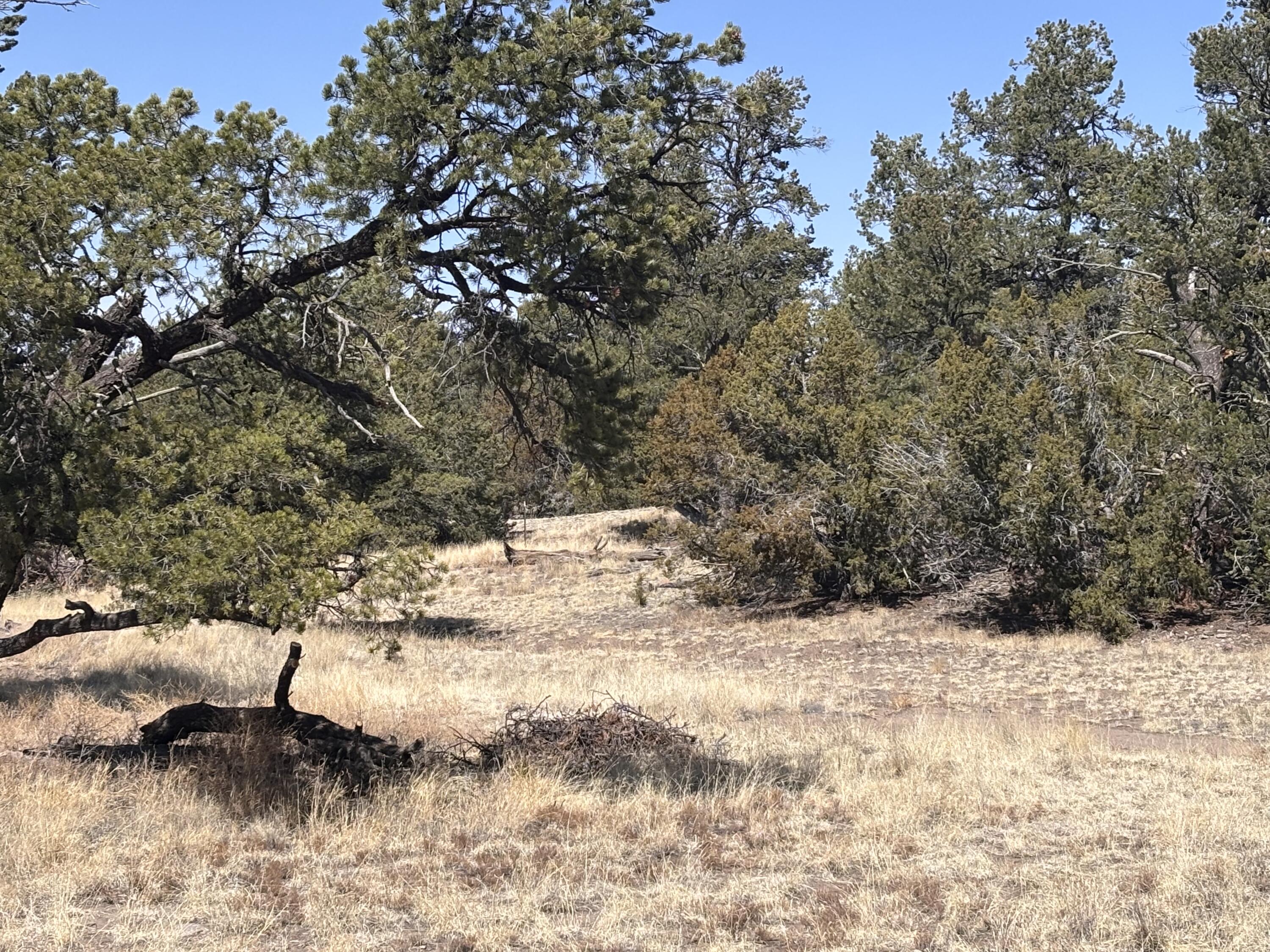 233 Turquoise Trail