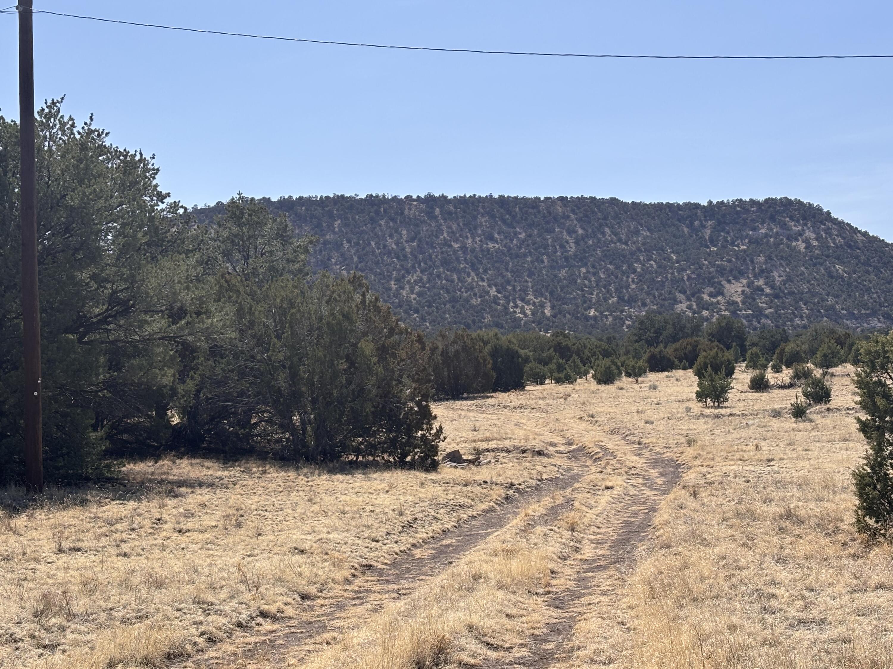 233 Turquoise Trail