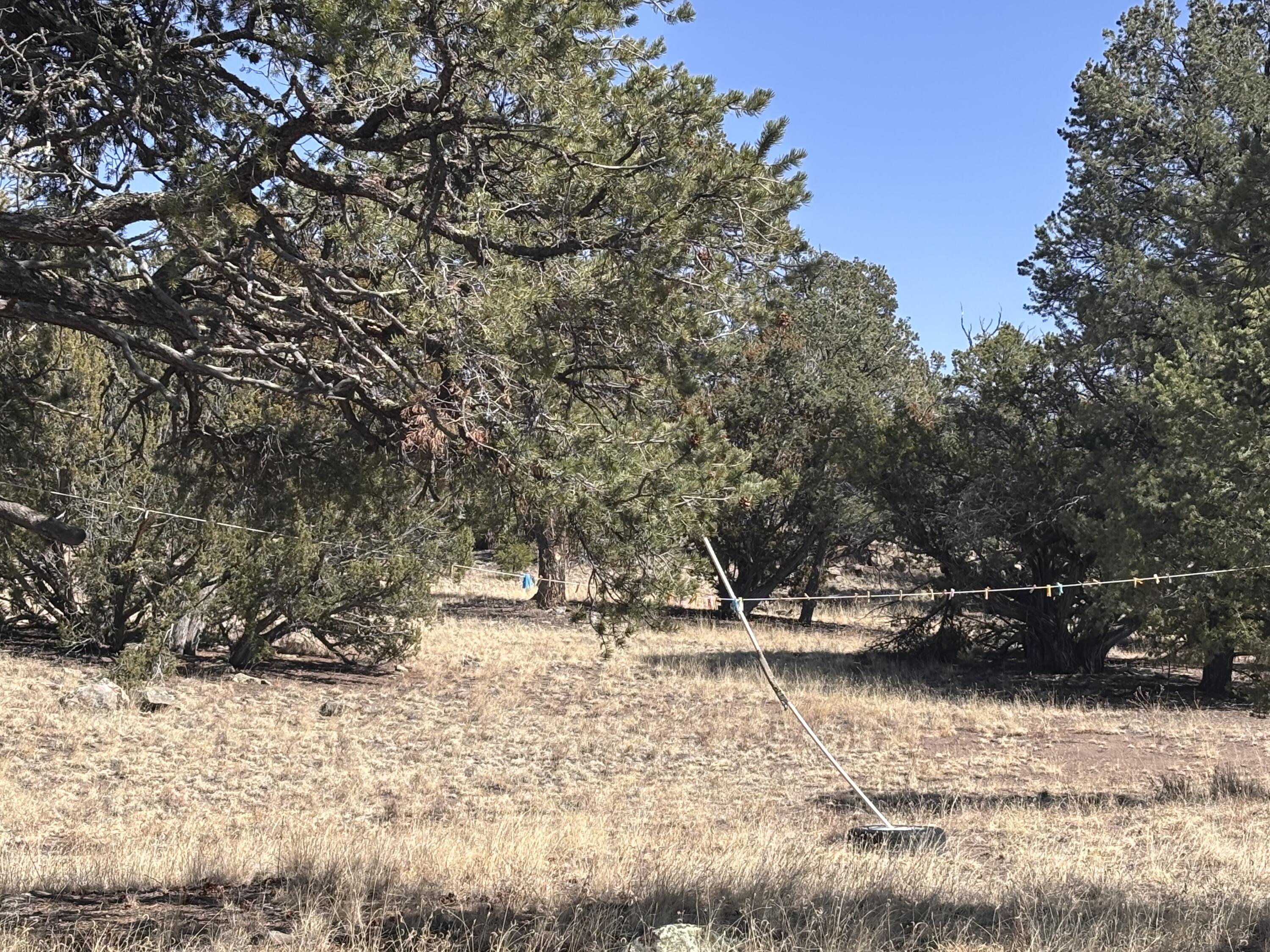 233 Turquoise Trail