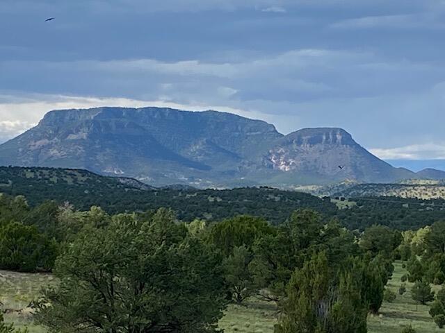 233 Turquoise Trail
