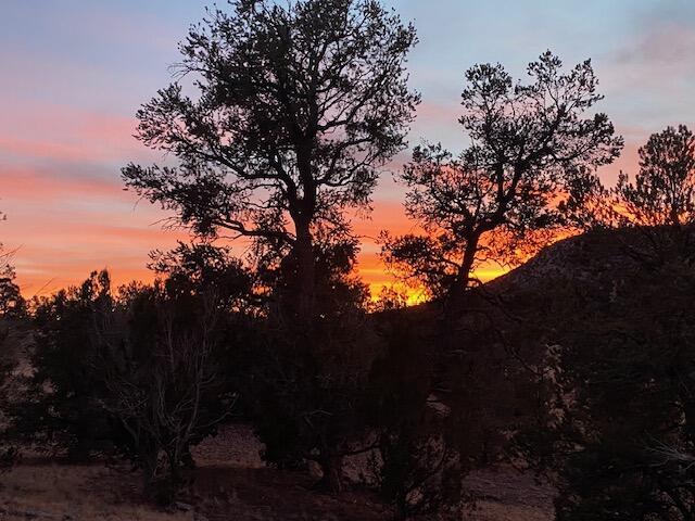 233 Turquoise Trail