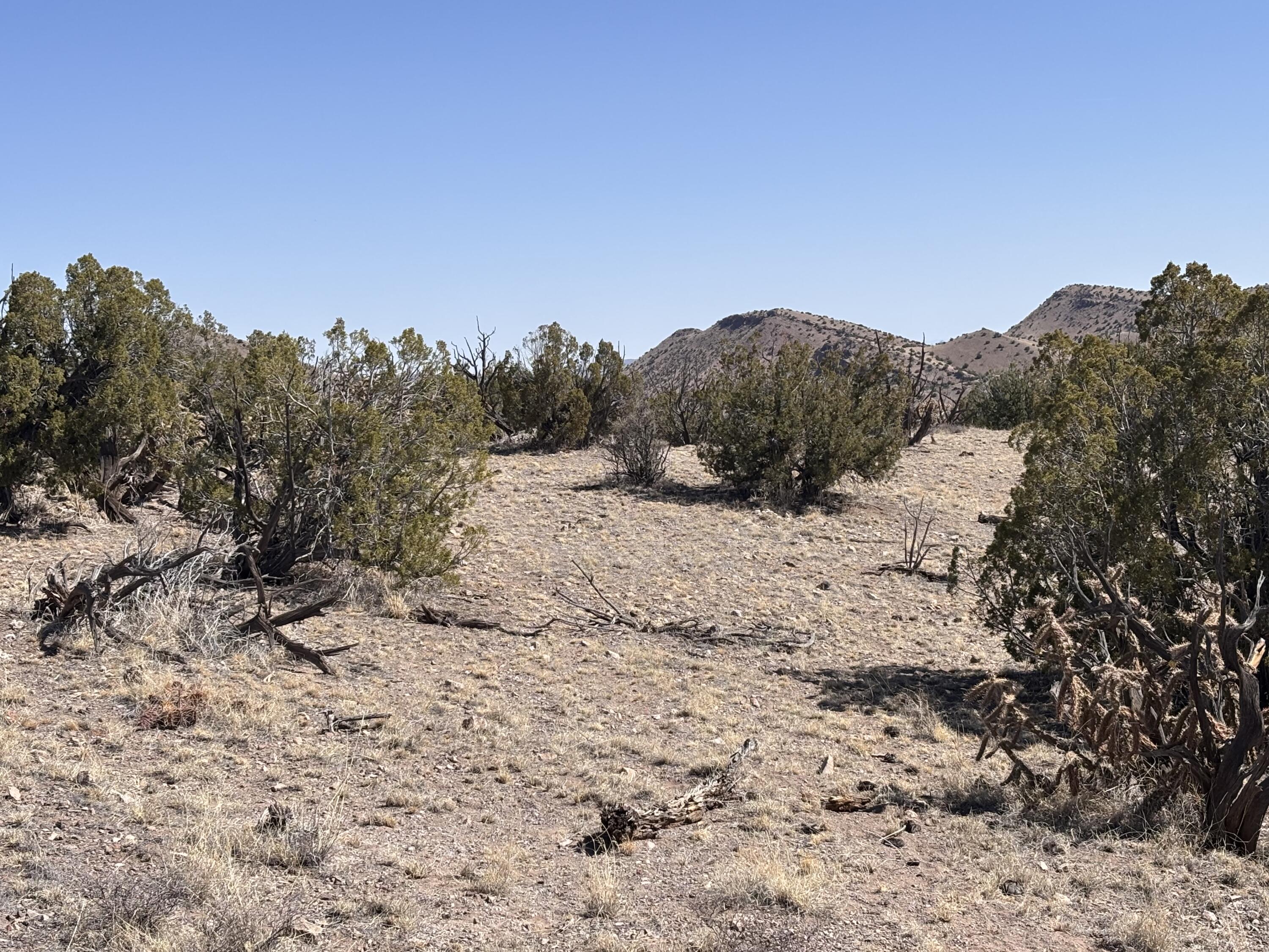 233 Turquoise Trail
