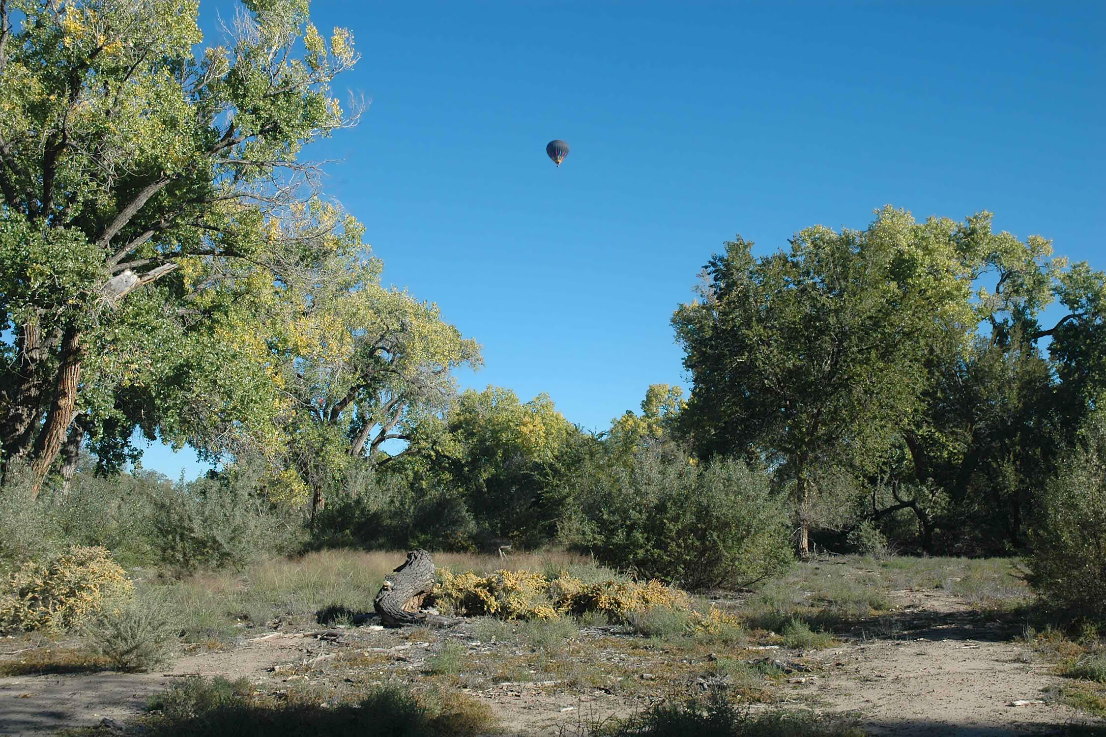 3017 CALLE DEL BOSQUE NW