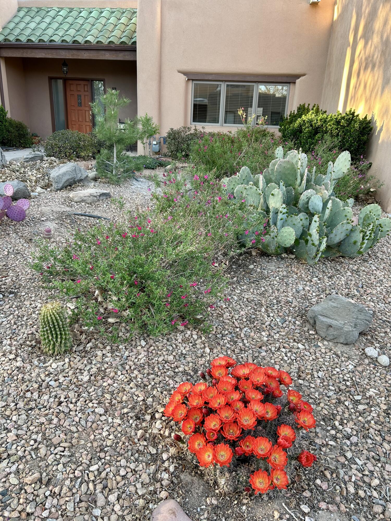 3017 CALLE DEL BOSQUE NW