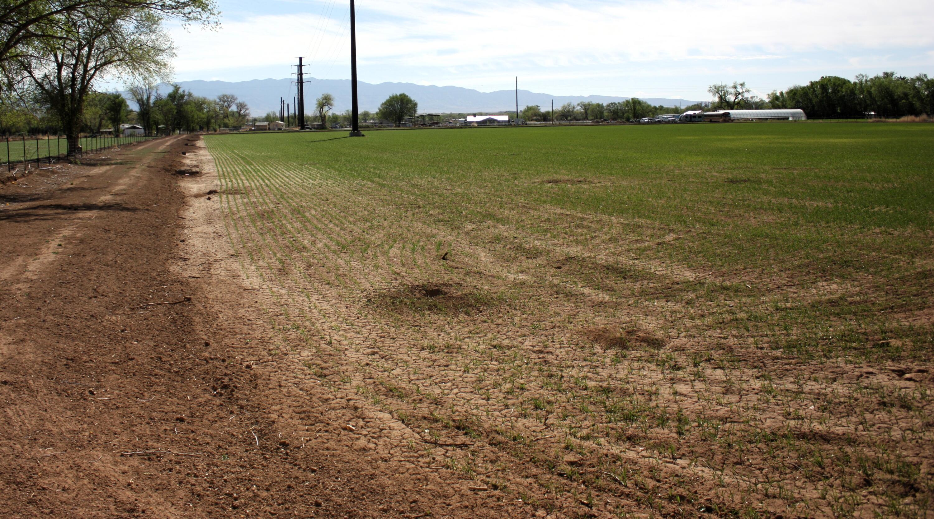 33 Pueblitos Road