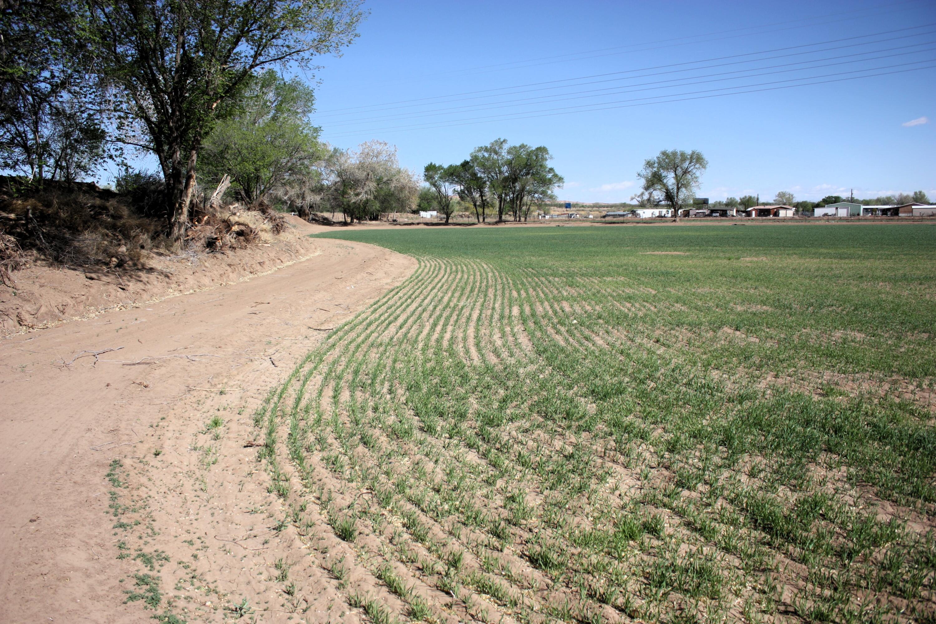 33 Pueblitos Road