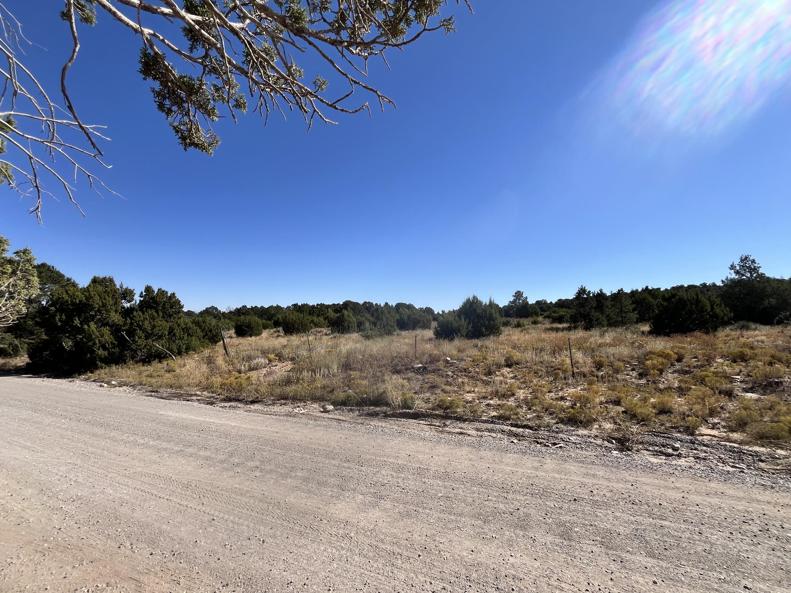 5 CAMINO PLATA Court