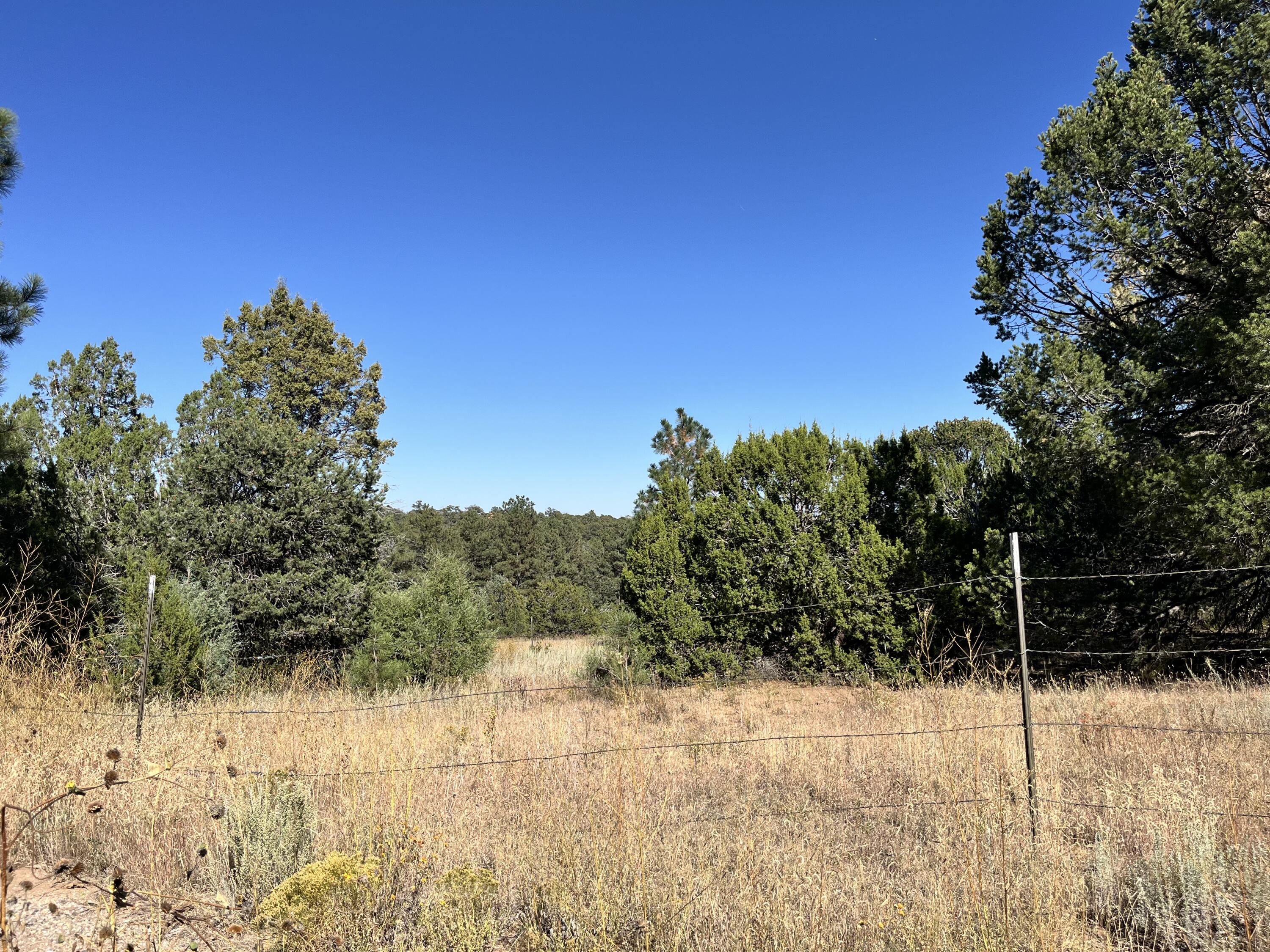 5 CAMINO PLATA Court