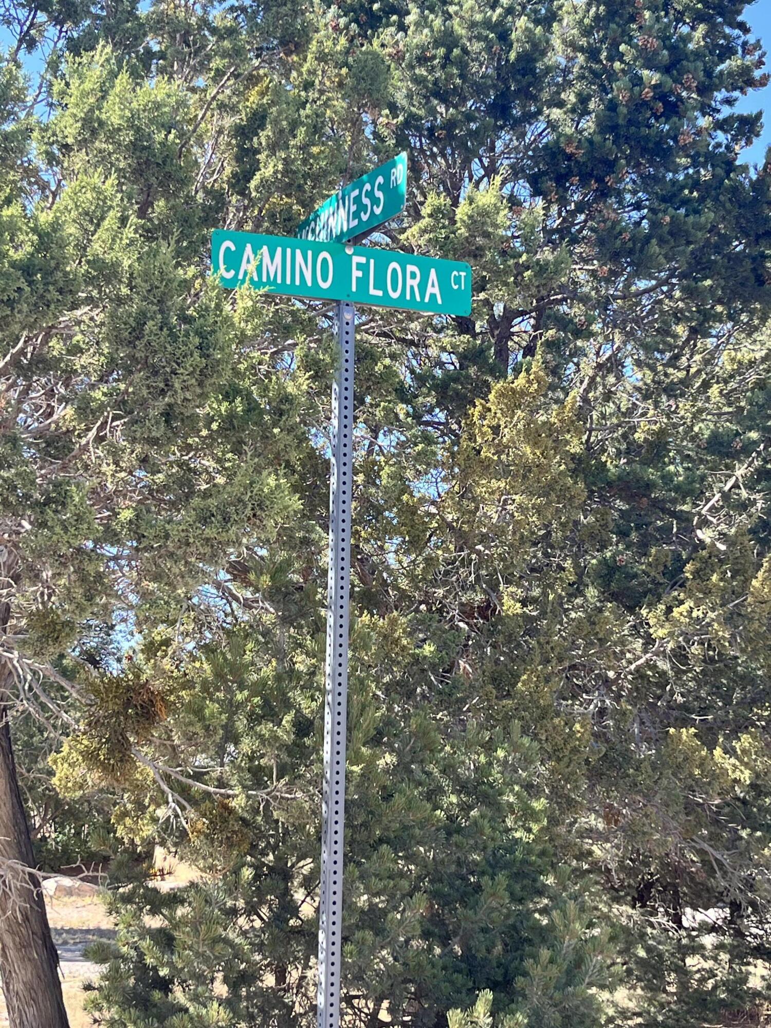 9 Camino Flora