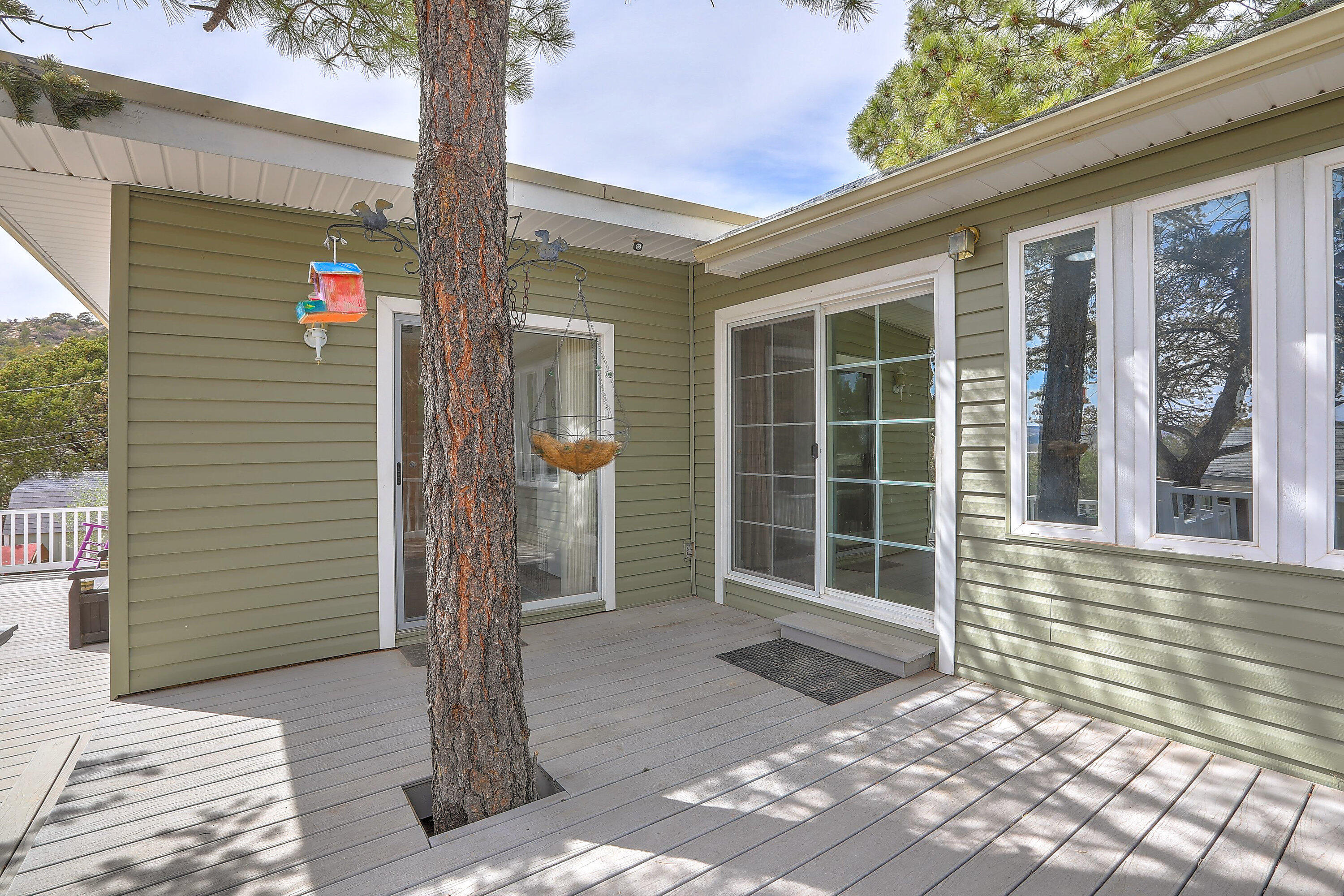 115 MATTERHORN Drive