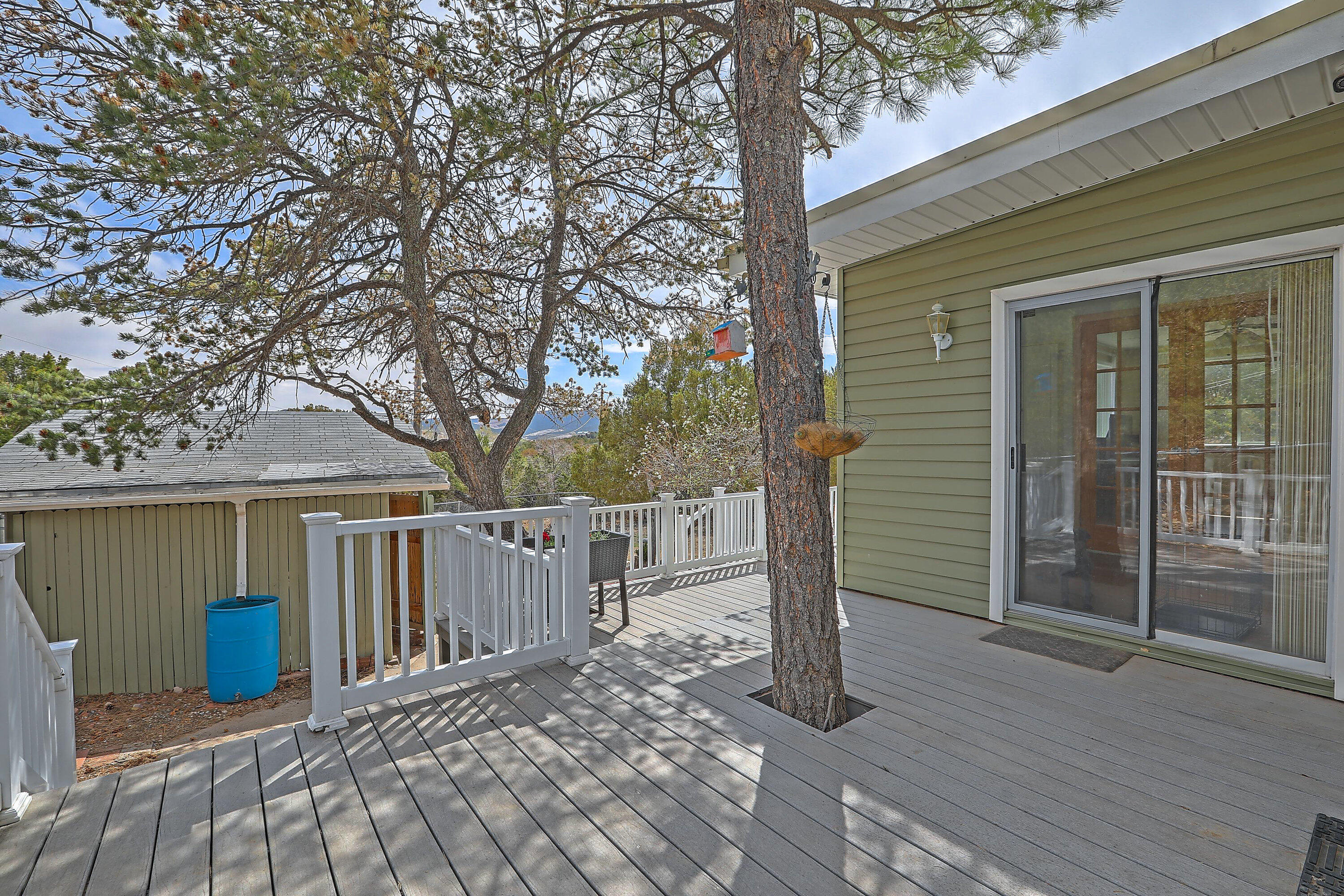 115 MATTERHORN Drive