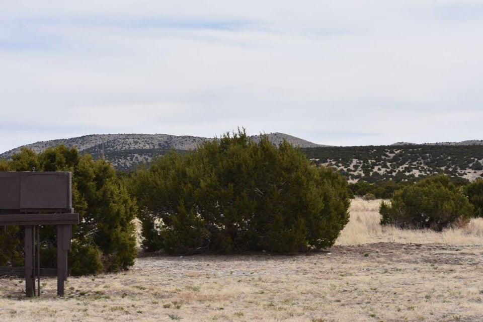 672 Pinon Springs Road