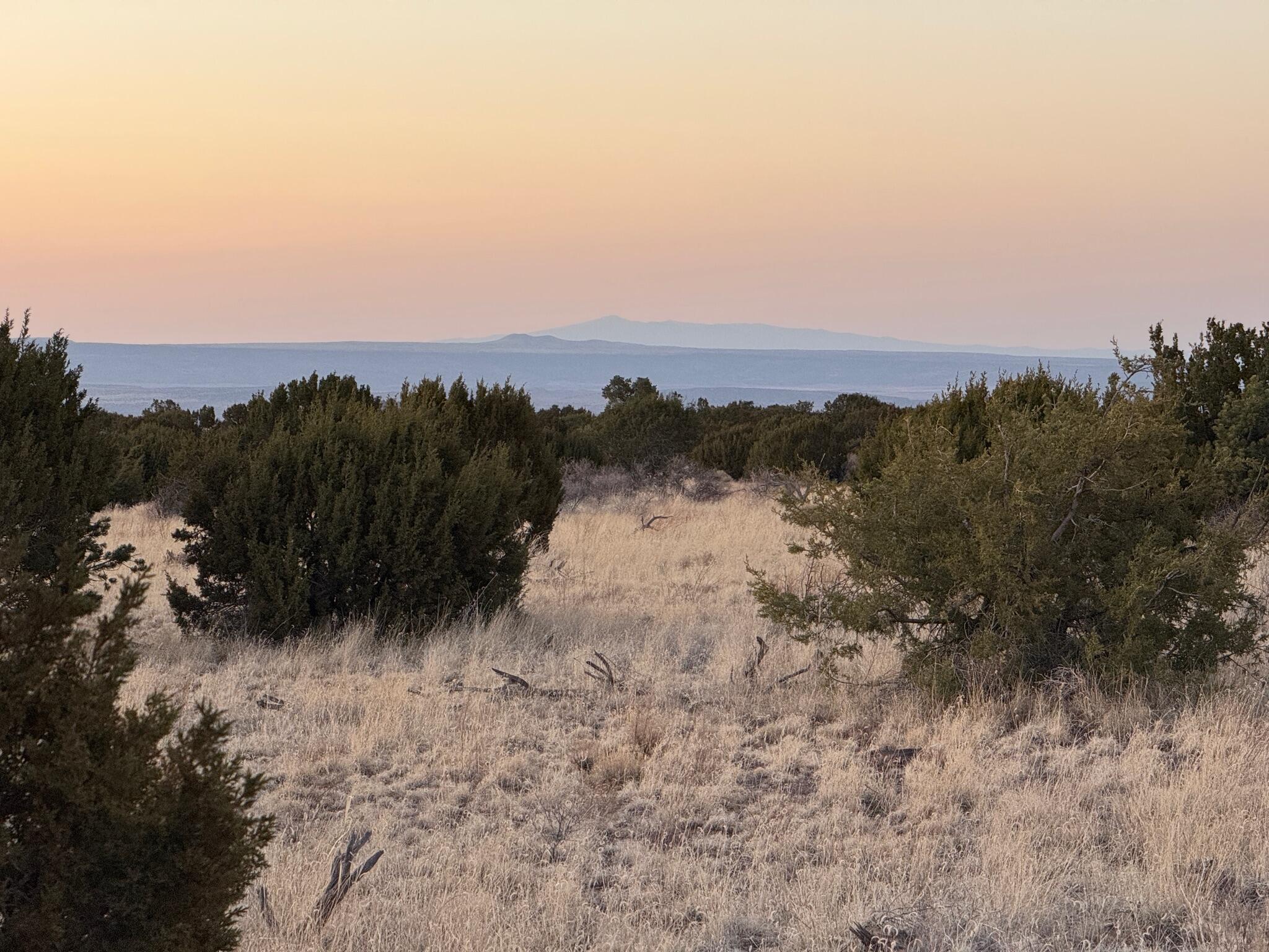 672 Pinon Springs Road