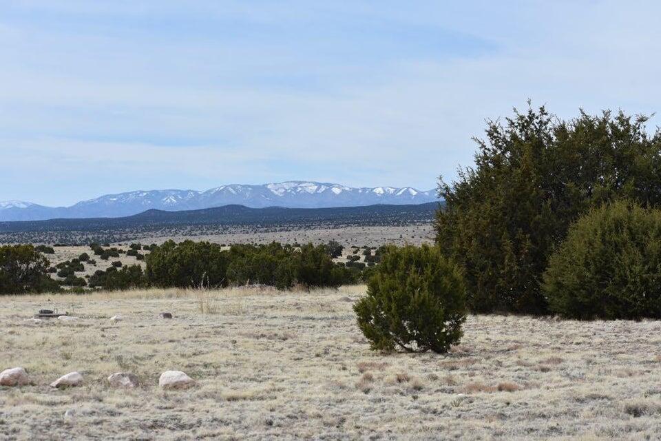 672 Pinon Springs Road