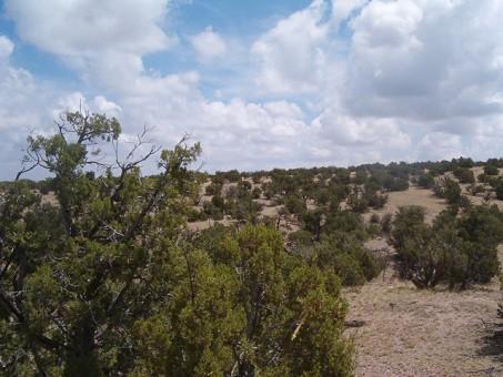 Lot 45 Abbe Springs
