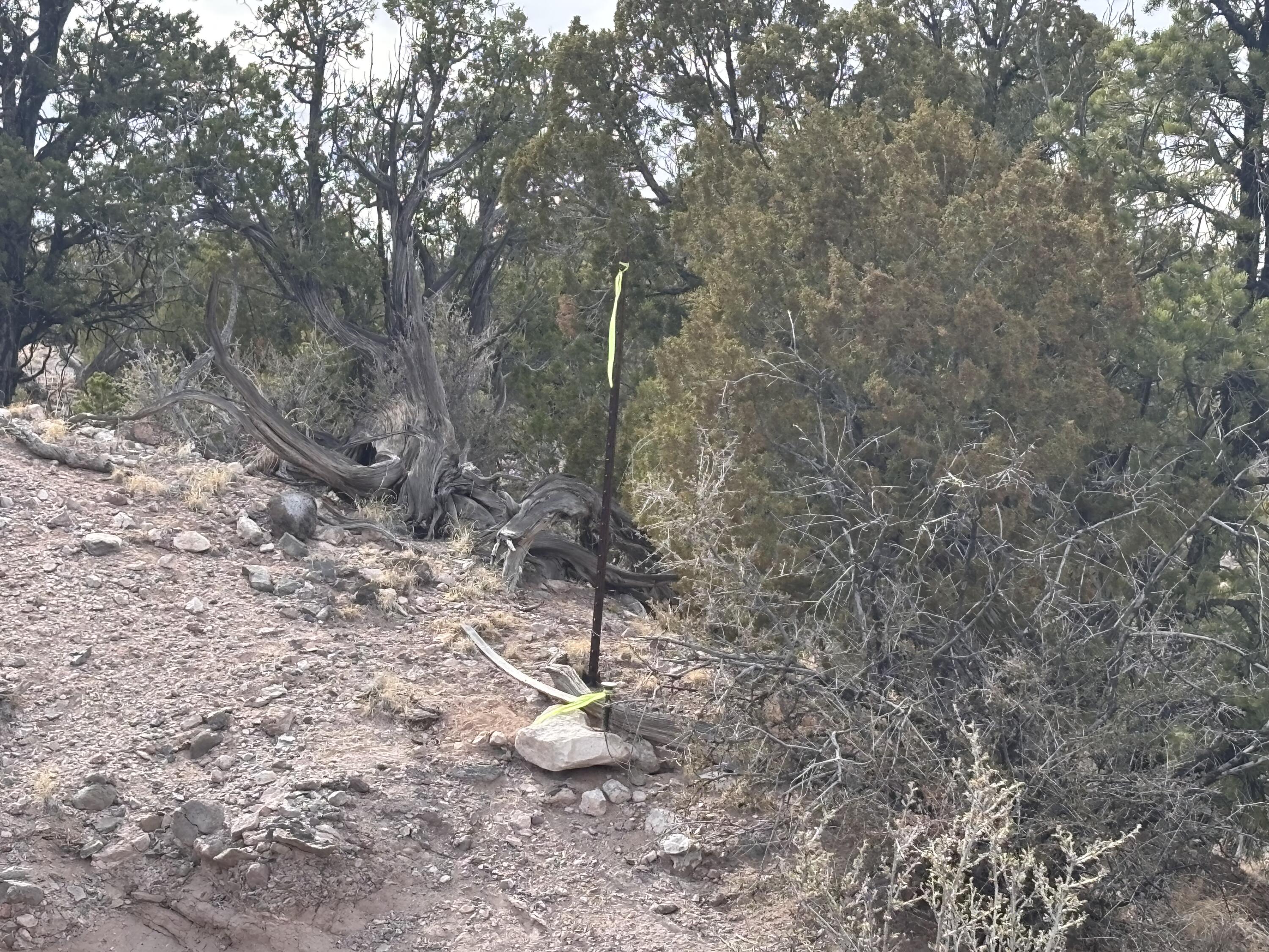 Lot 45 Abbe Springs