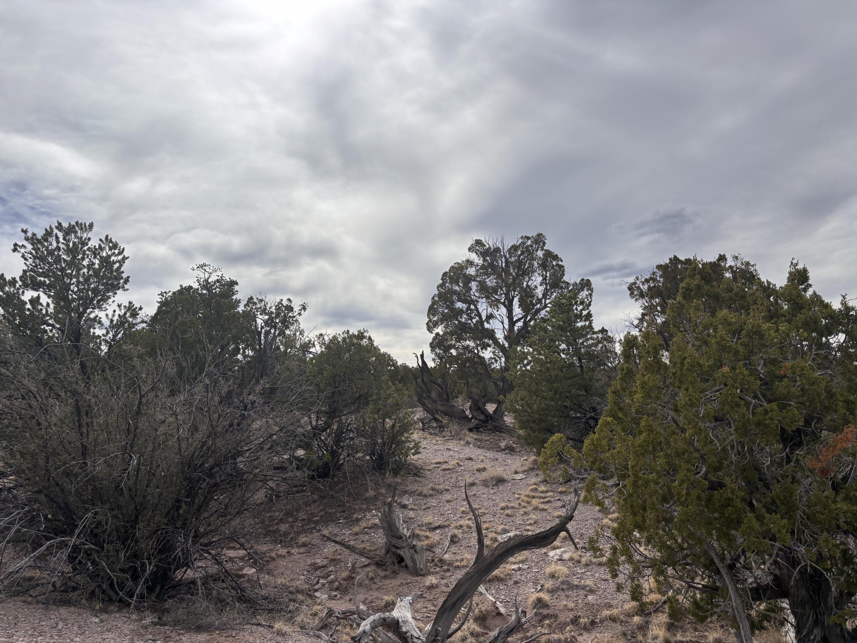 Lot 45 Abbe Springs