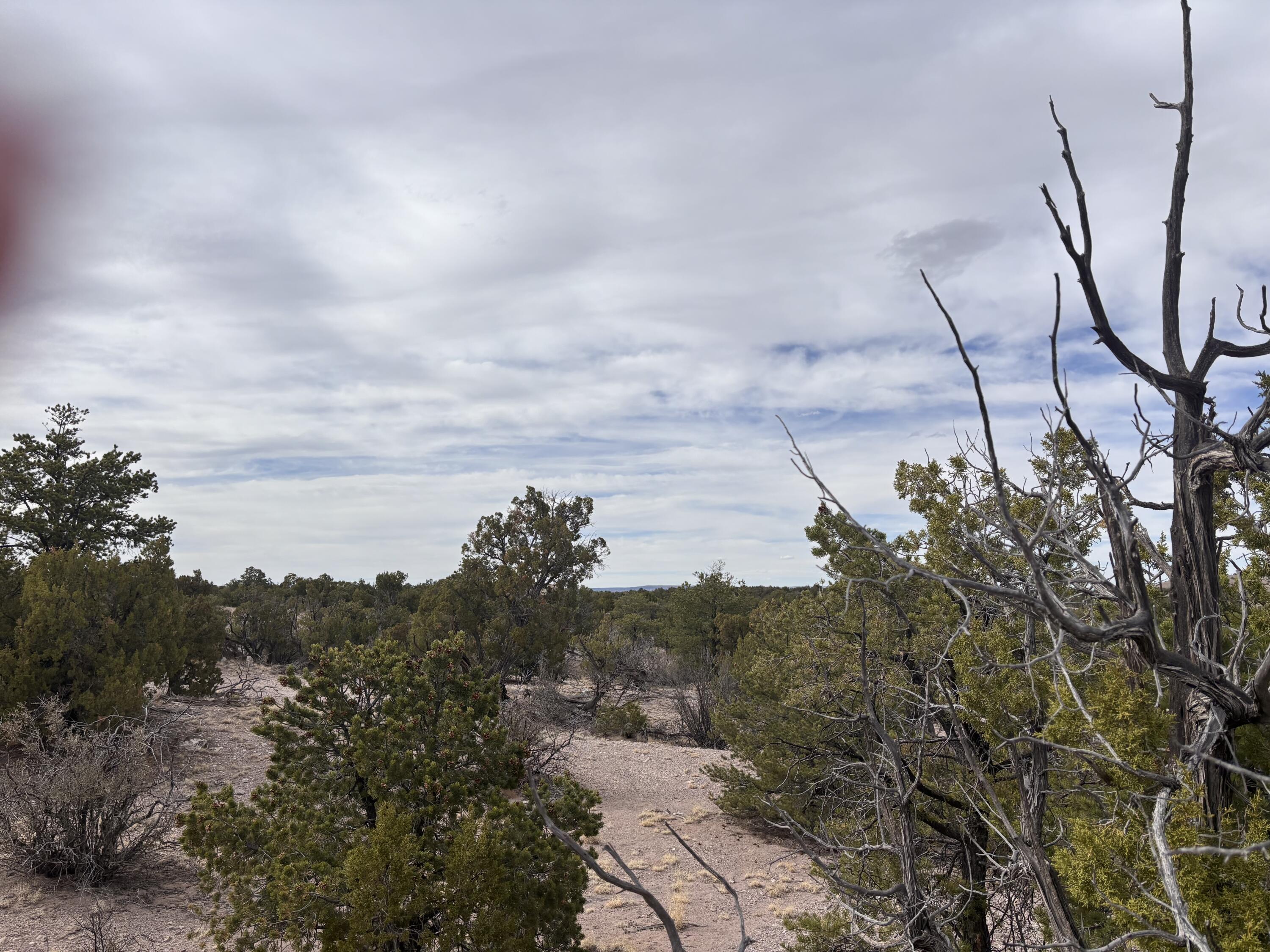Lot 45 Abbe Springs