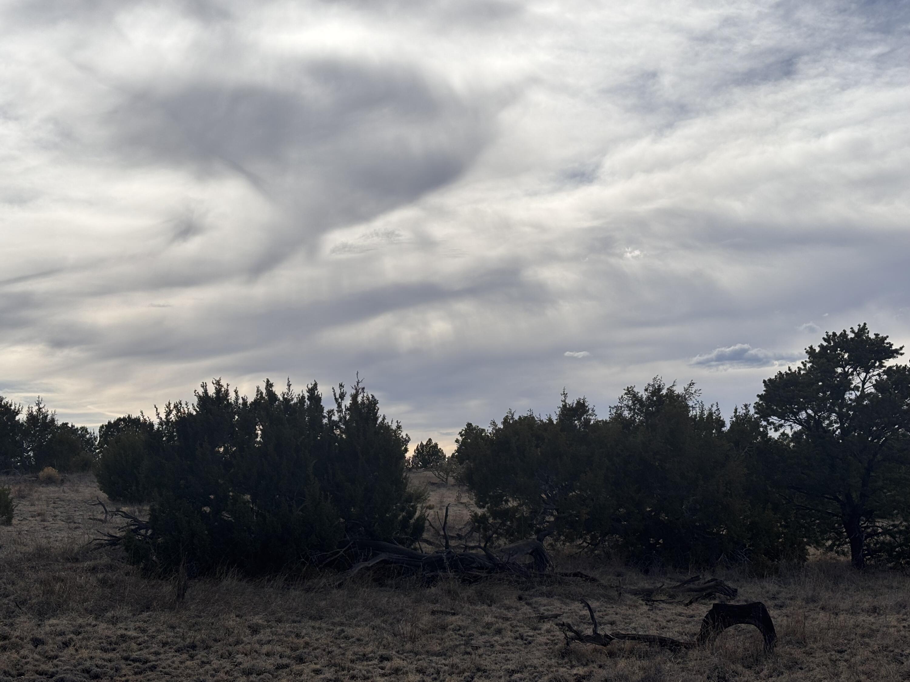 Lot 45 Abbe Springs