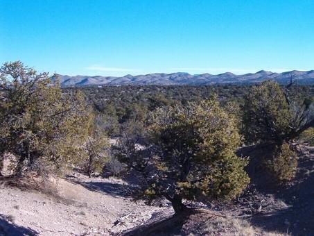 Lot 45 Abbe Springs