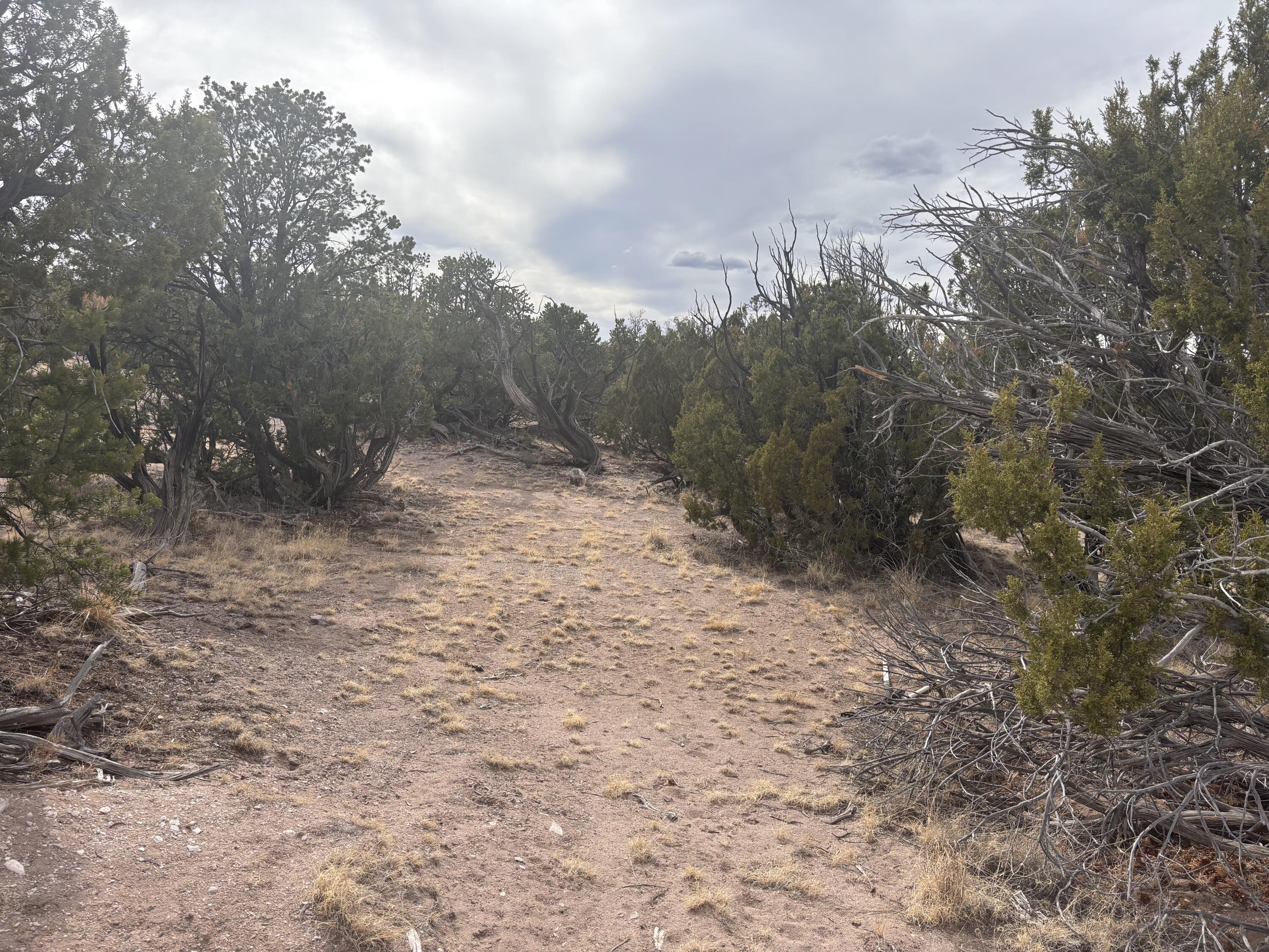 Lot 45 Abbe Springs