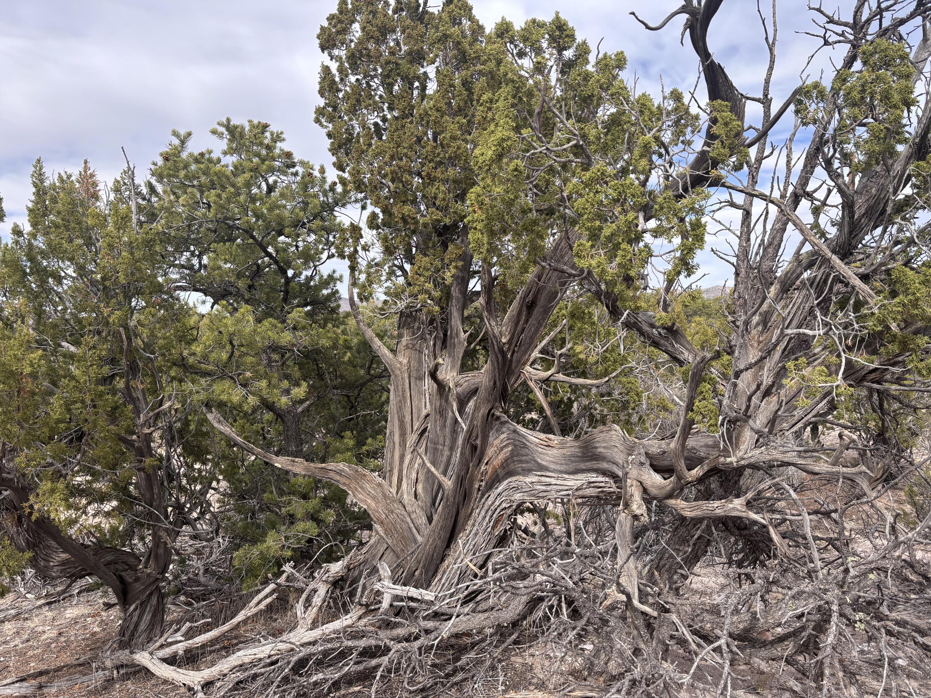 Lot 45 Abbe Springs