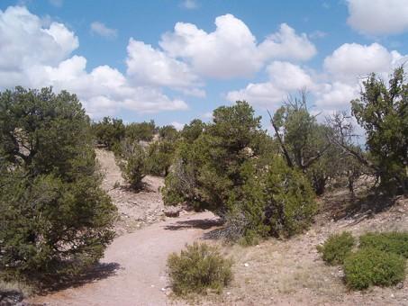 Lot 45 Abbe Springs