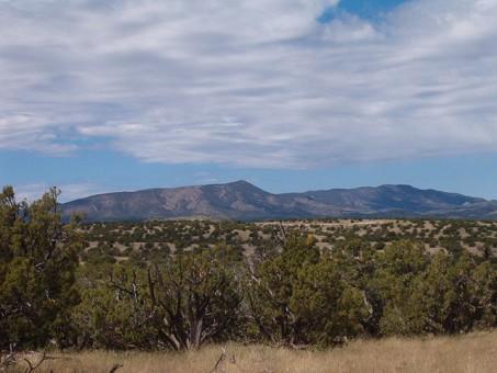 Lot 45 Abbe Springs