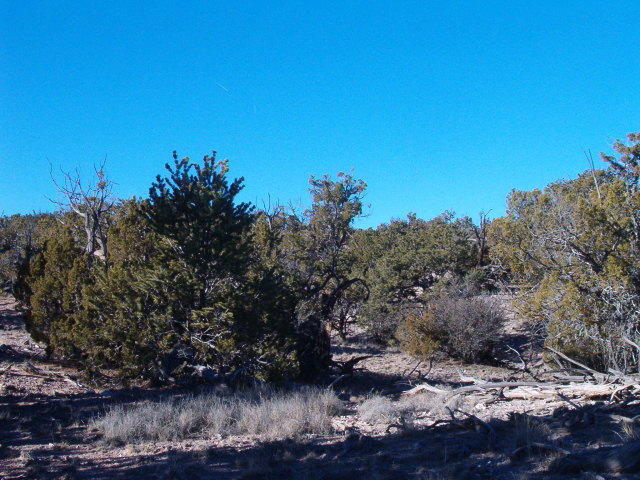 Lot 45 Abbe Springs