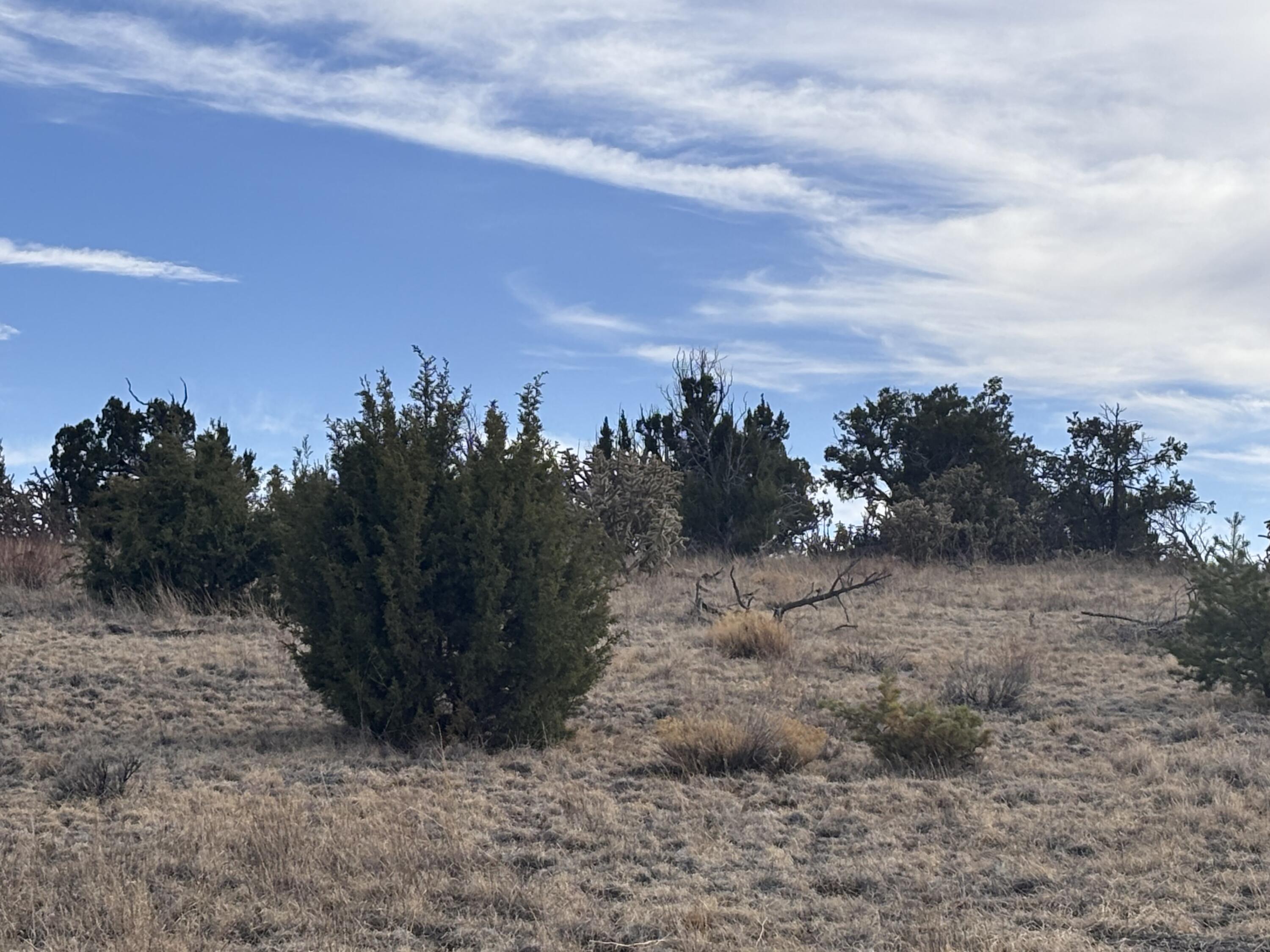 Lot 150 Pinon Springs