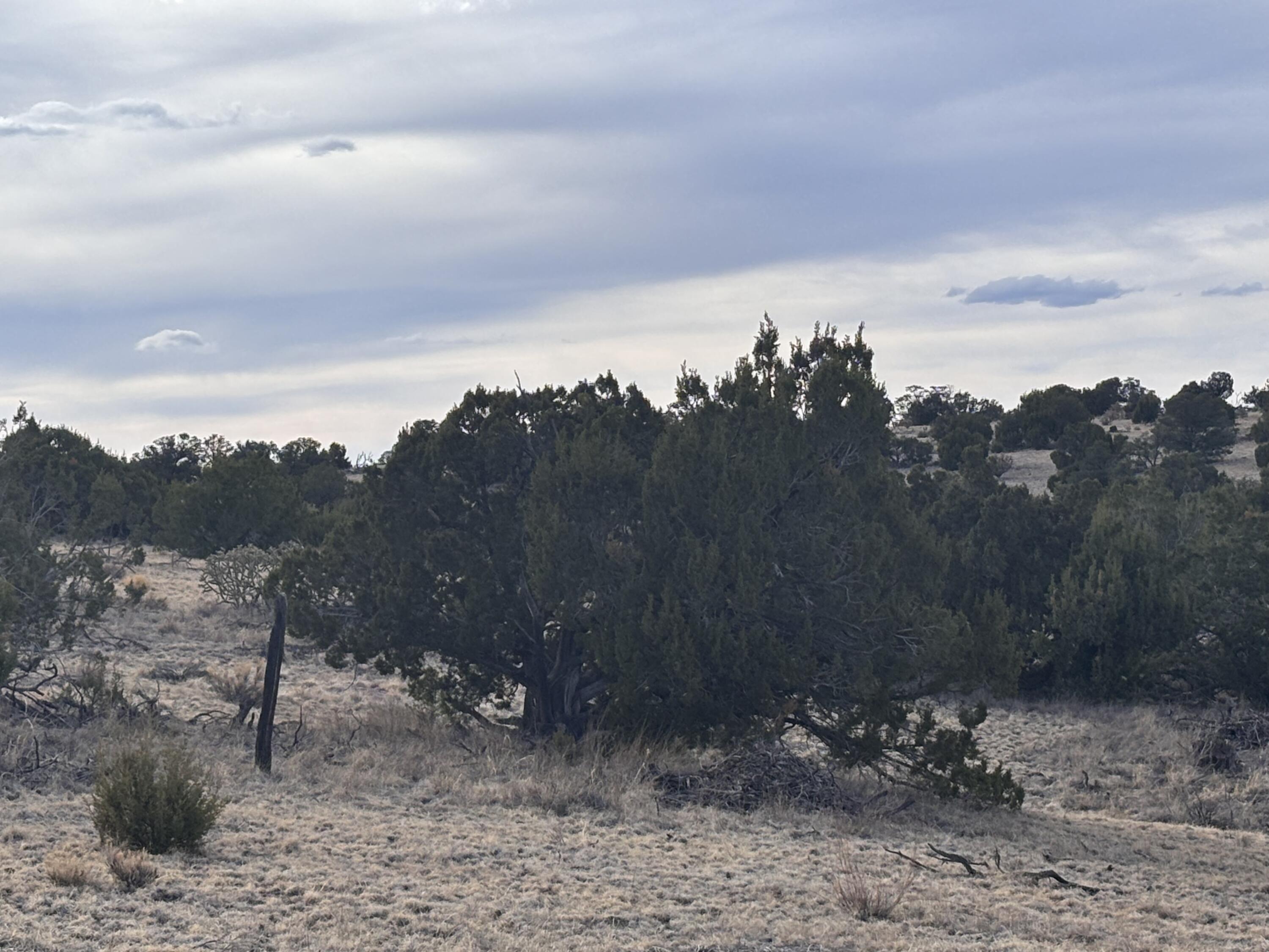 Lot 150 Pinon Springs