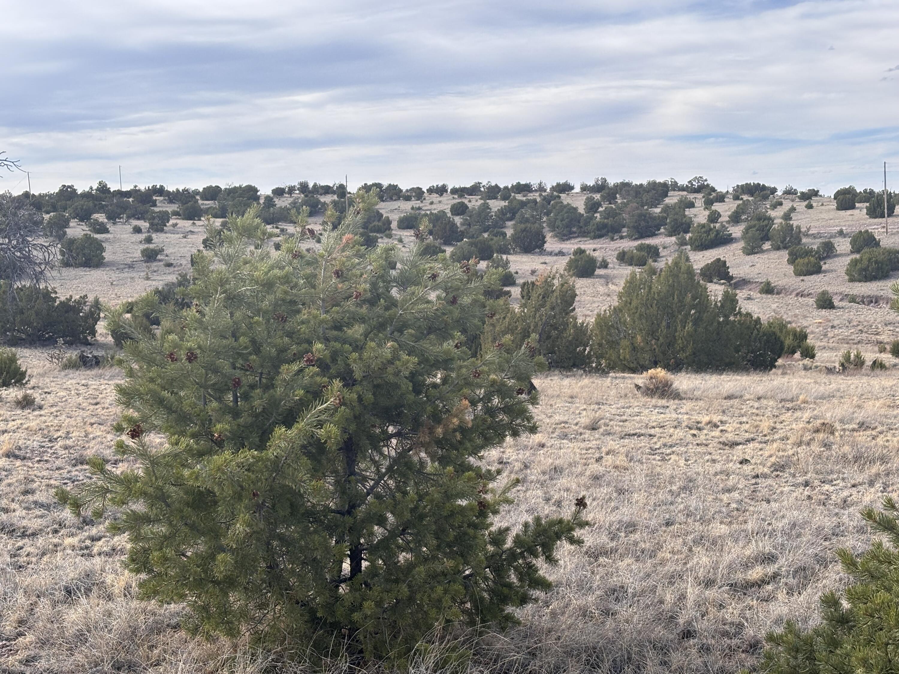Lot 150 Pinon Springs