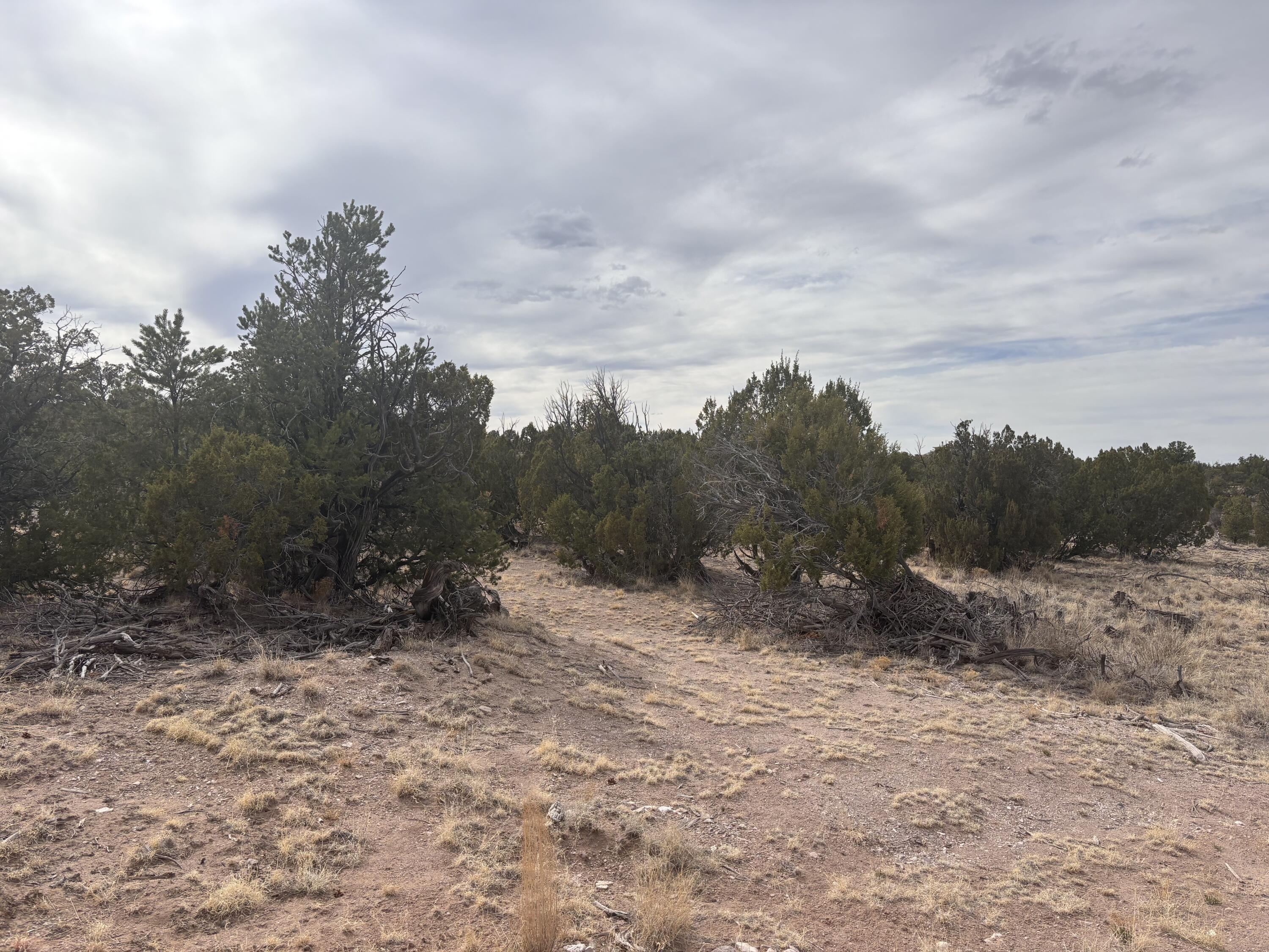 Lot 150 Pinon Springs