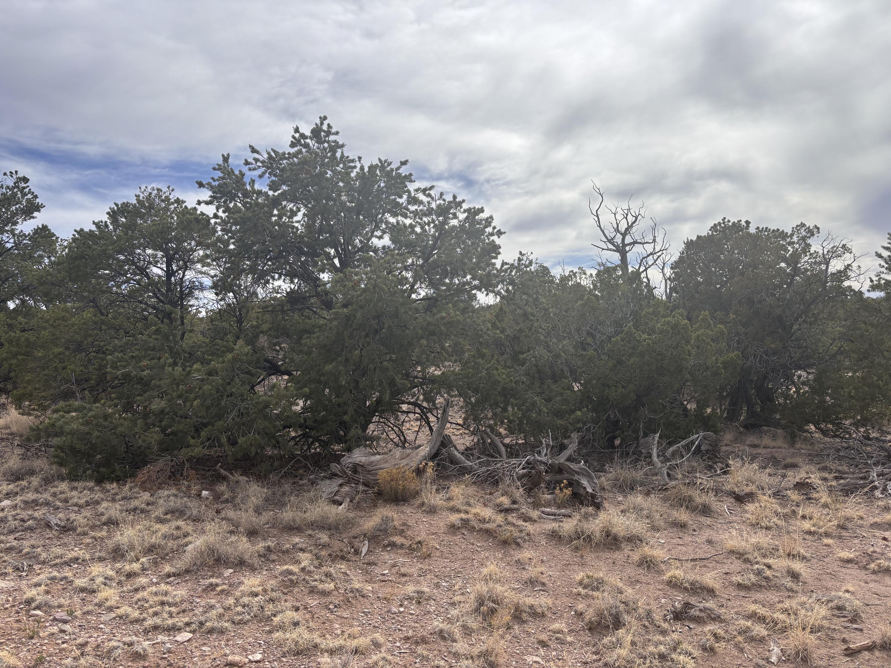 Lot 150 Pinon Springs