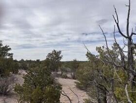Lot 150 Pinon Springs