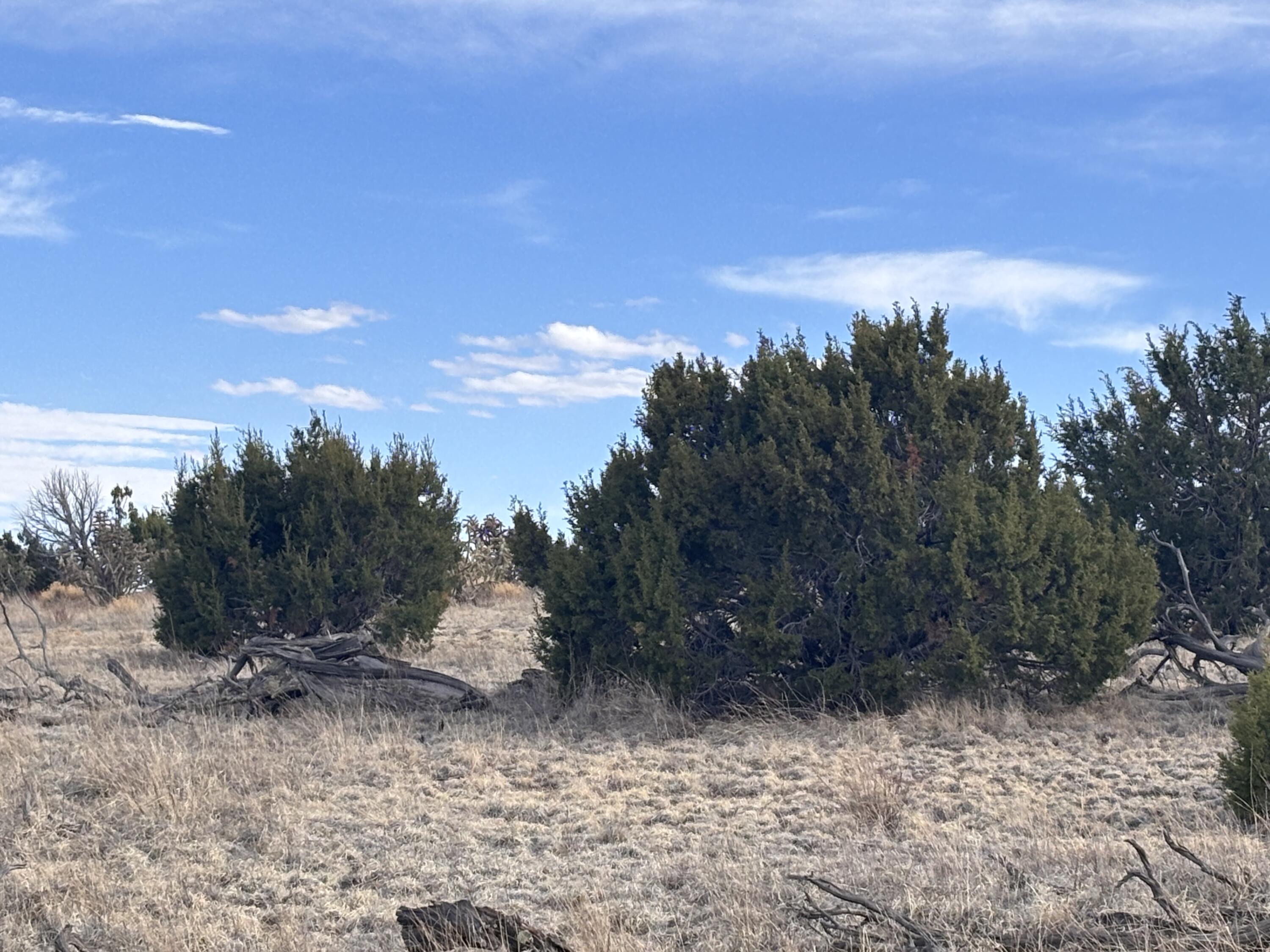 Lot 150 Pinon Springs