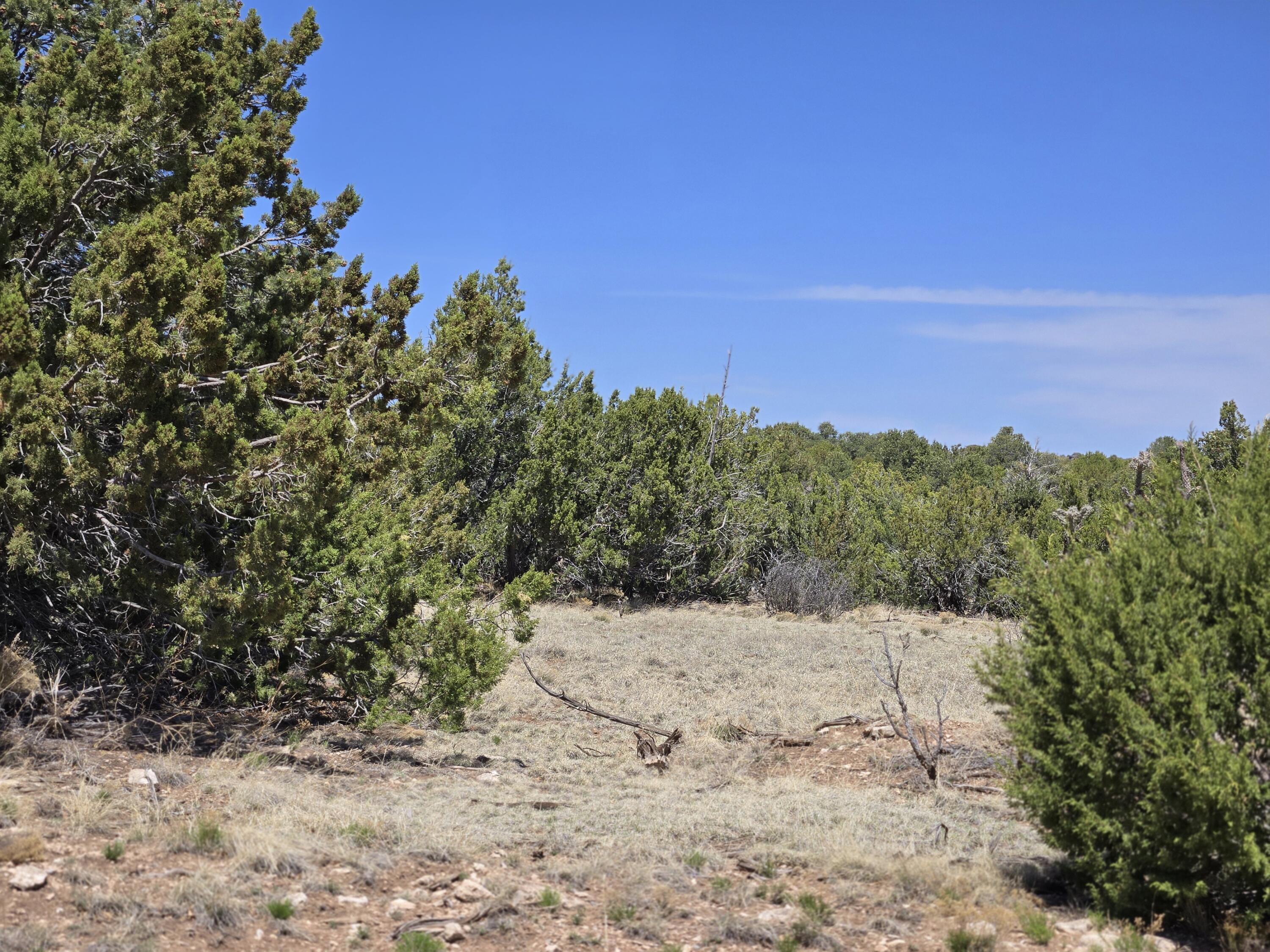 0 County Rd A-102 Lot 4