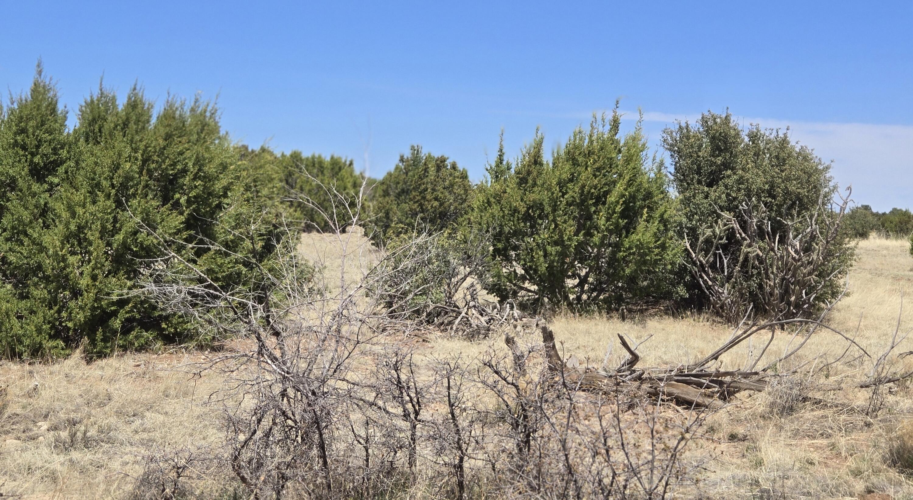 0 County Rd A-102 Lot 4