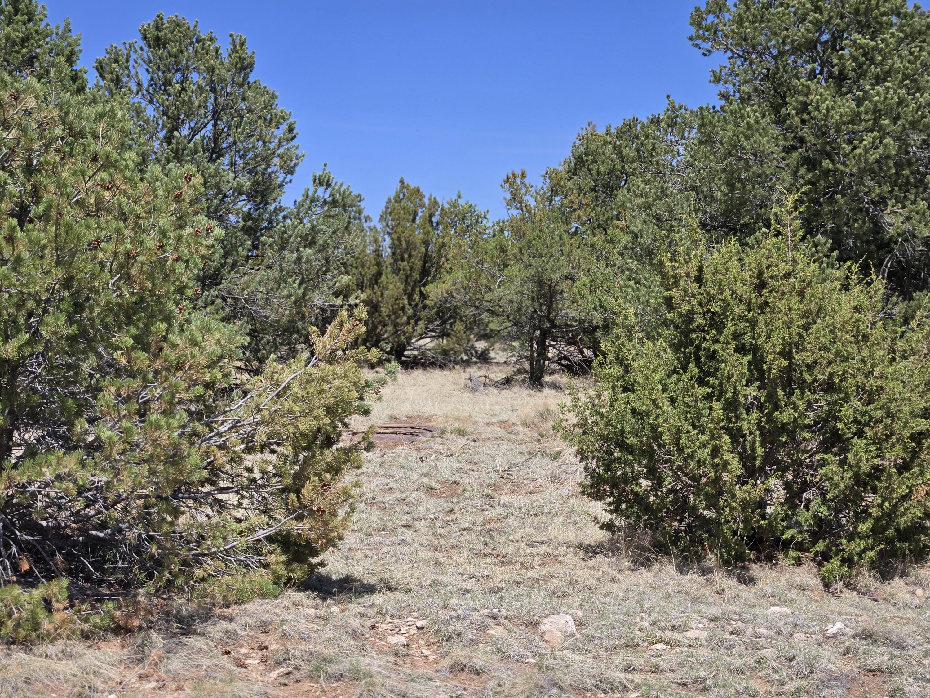 0 County Rd A-102 Lot 4