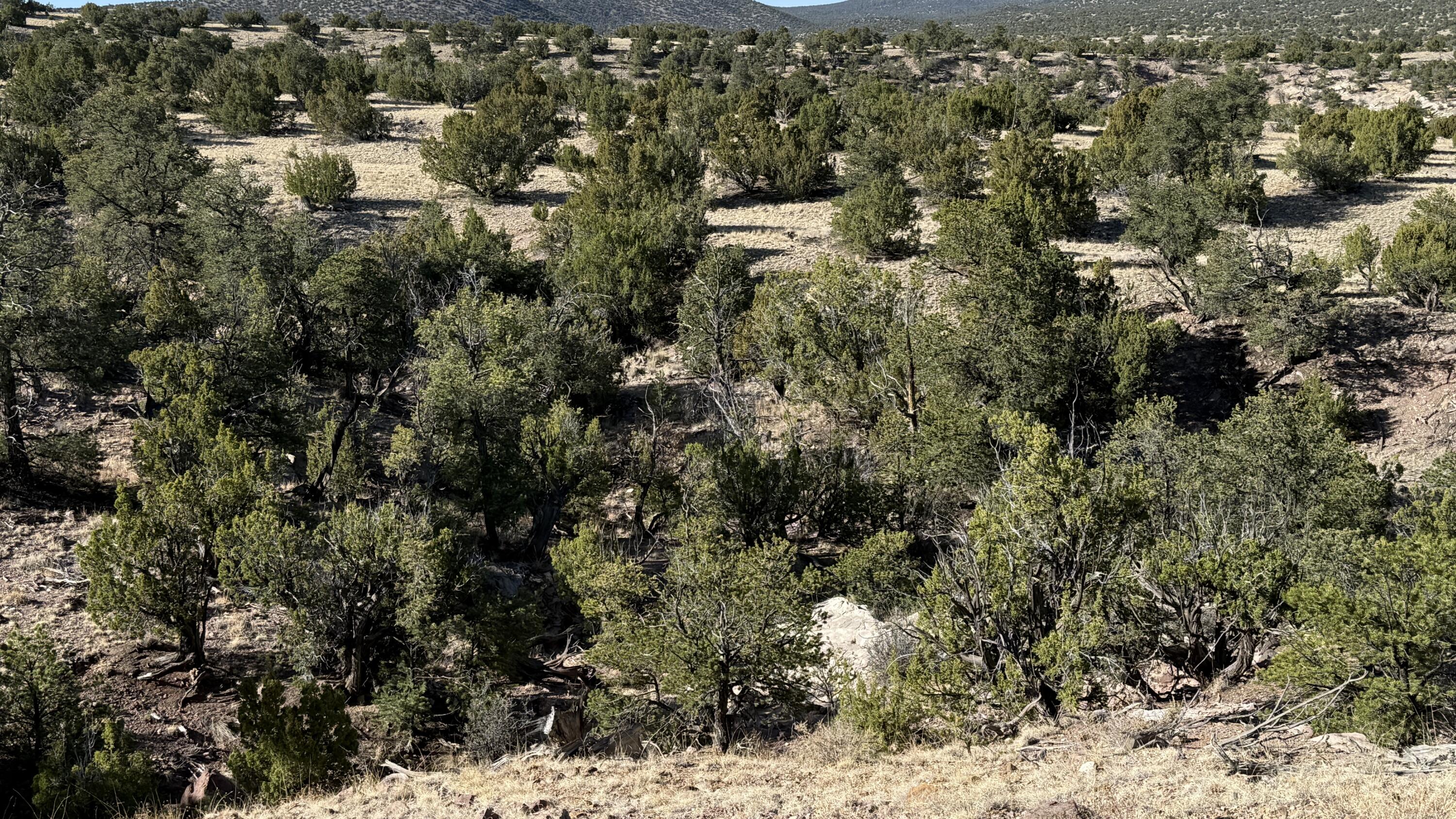 Lot 21 Pinon Springs Ranch