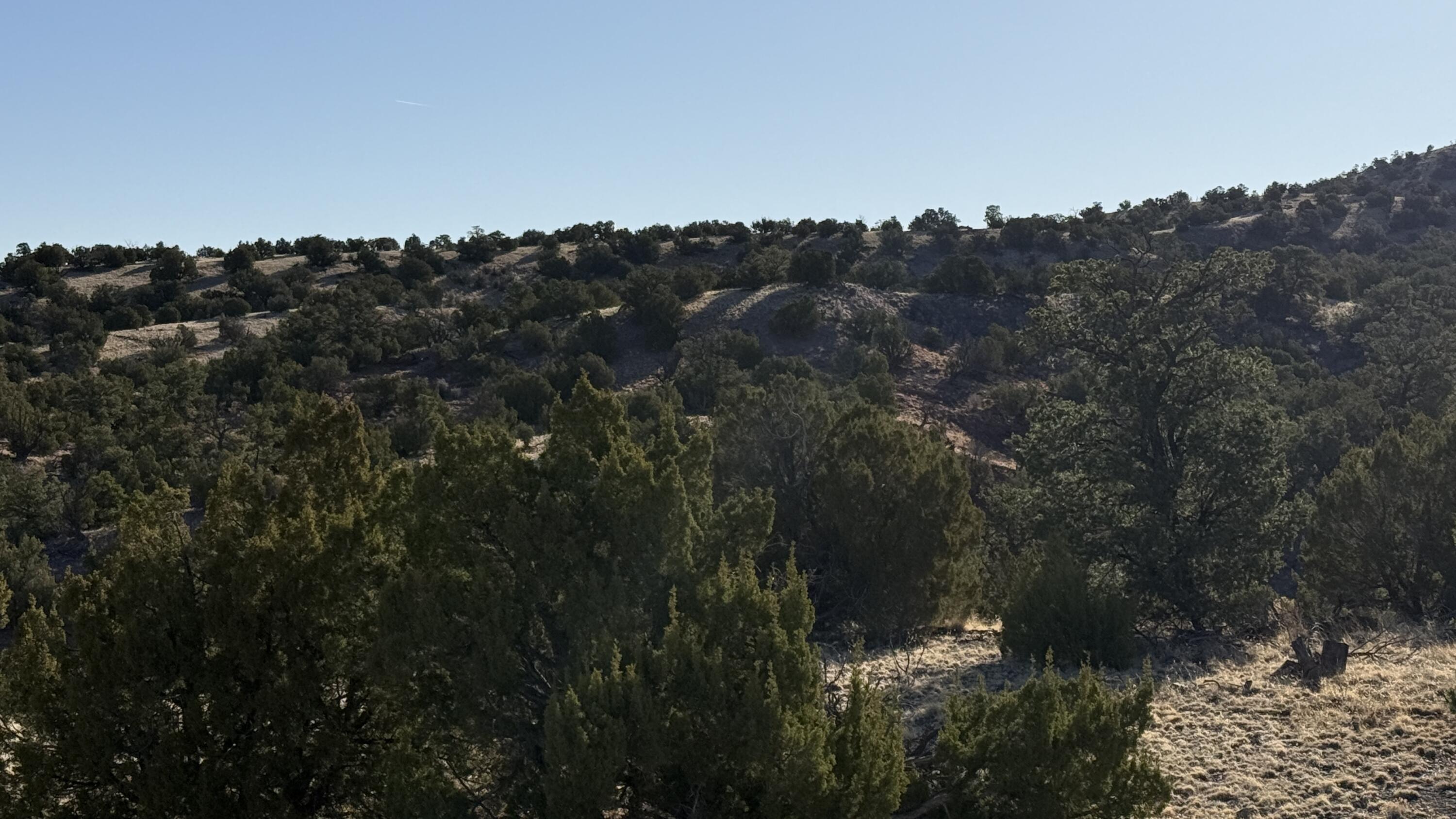 Lot 21 Pinon Springs Ranch