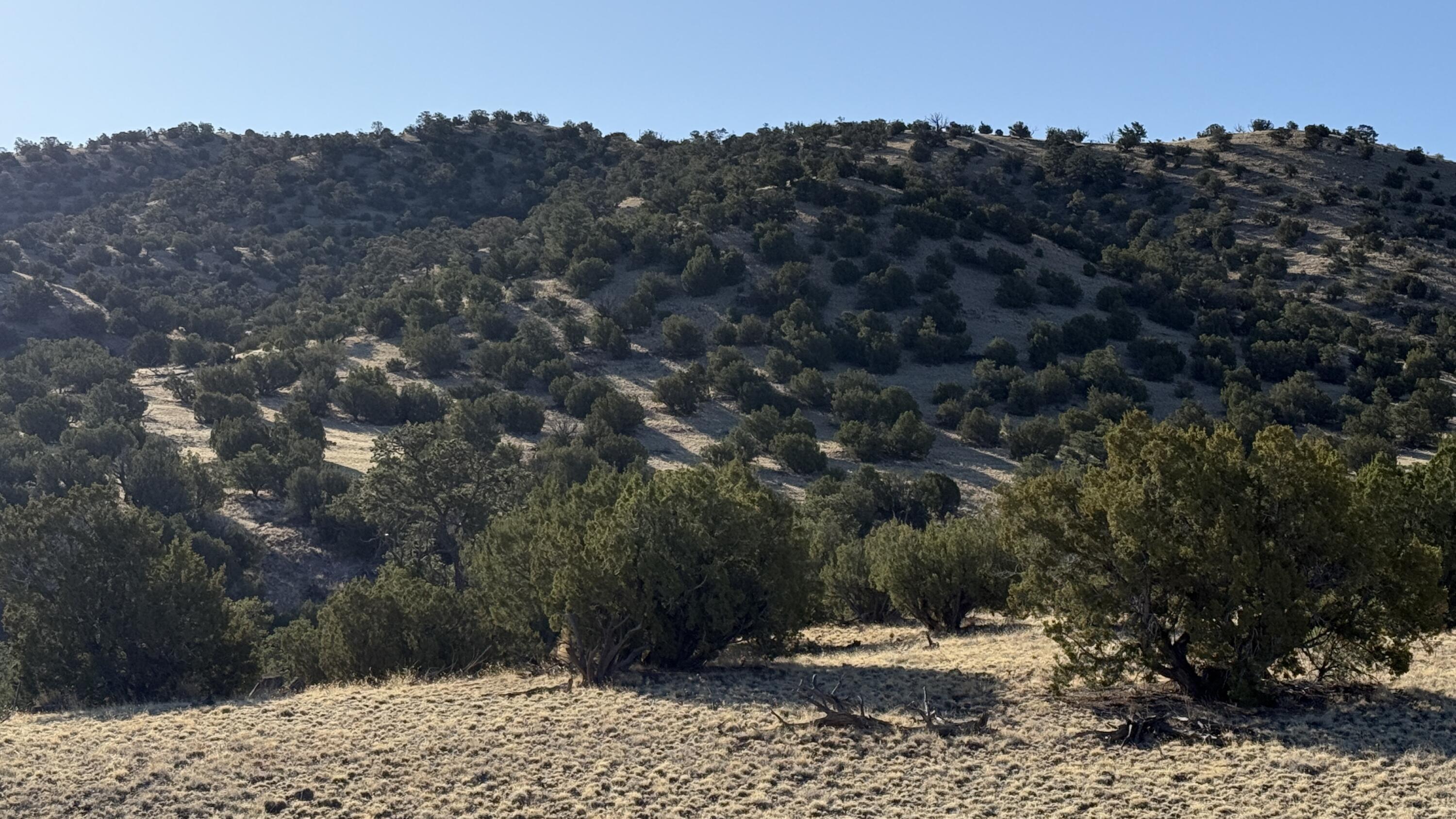 Lot 21 Pinon Springs Ranch