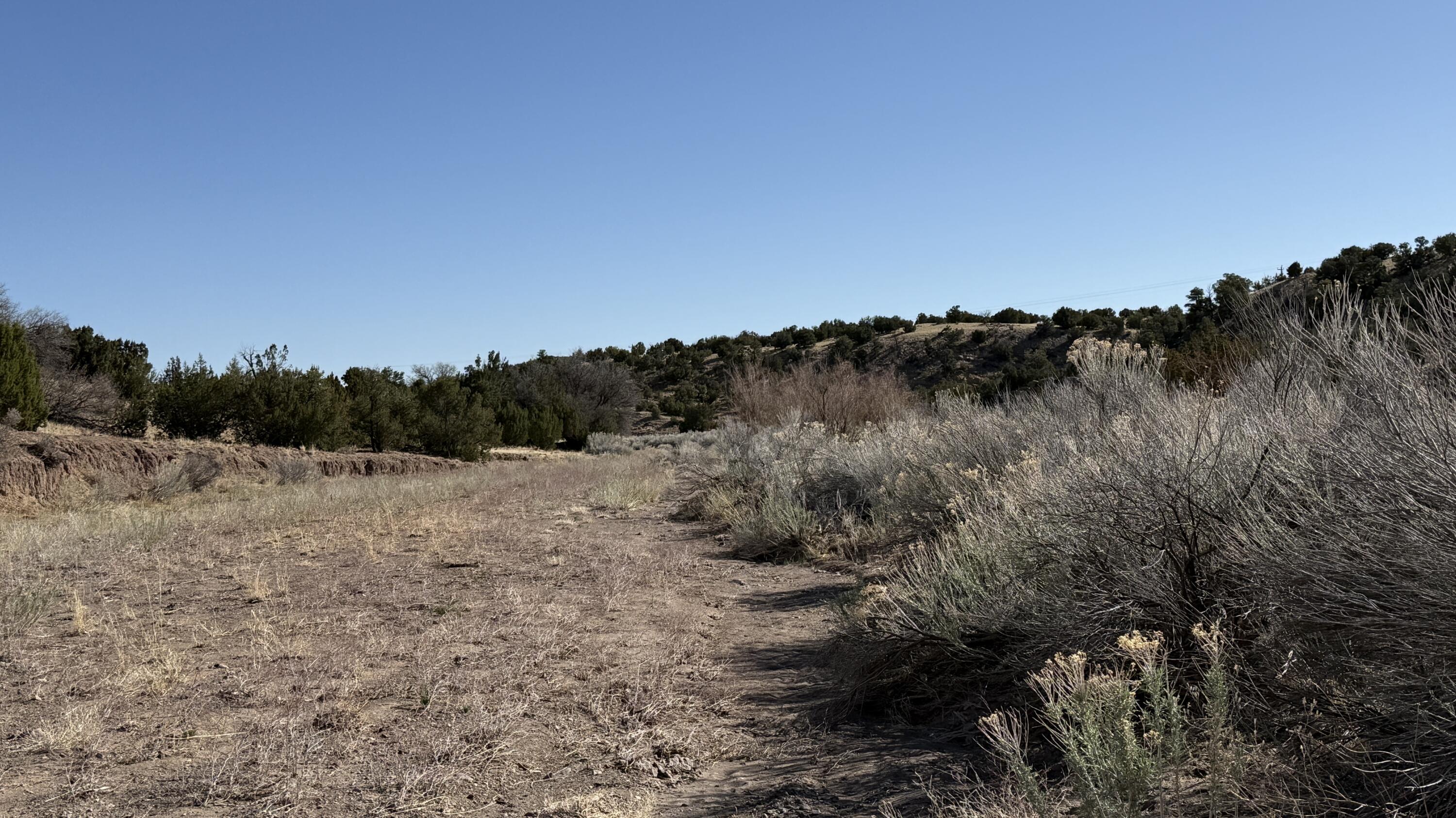 Lot 21 Pinon Springs Ranch