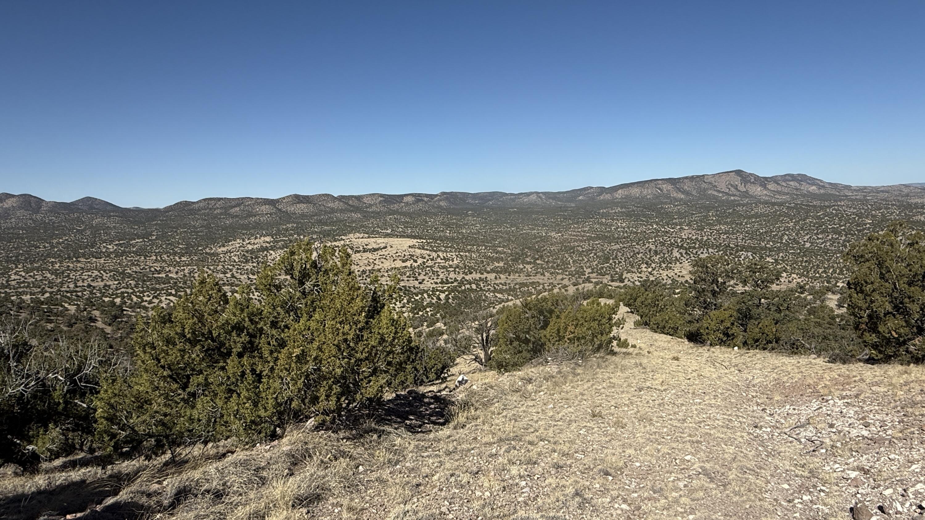 Lot 21 Pinon Springs Ranch